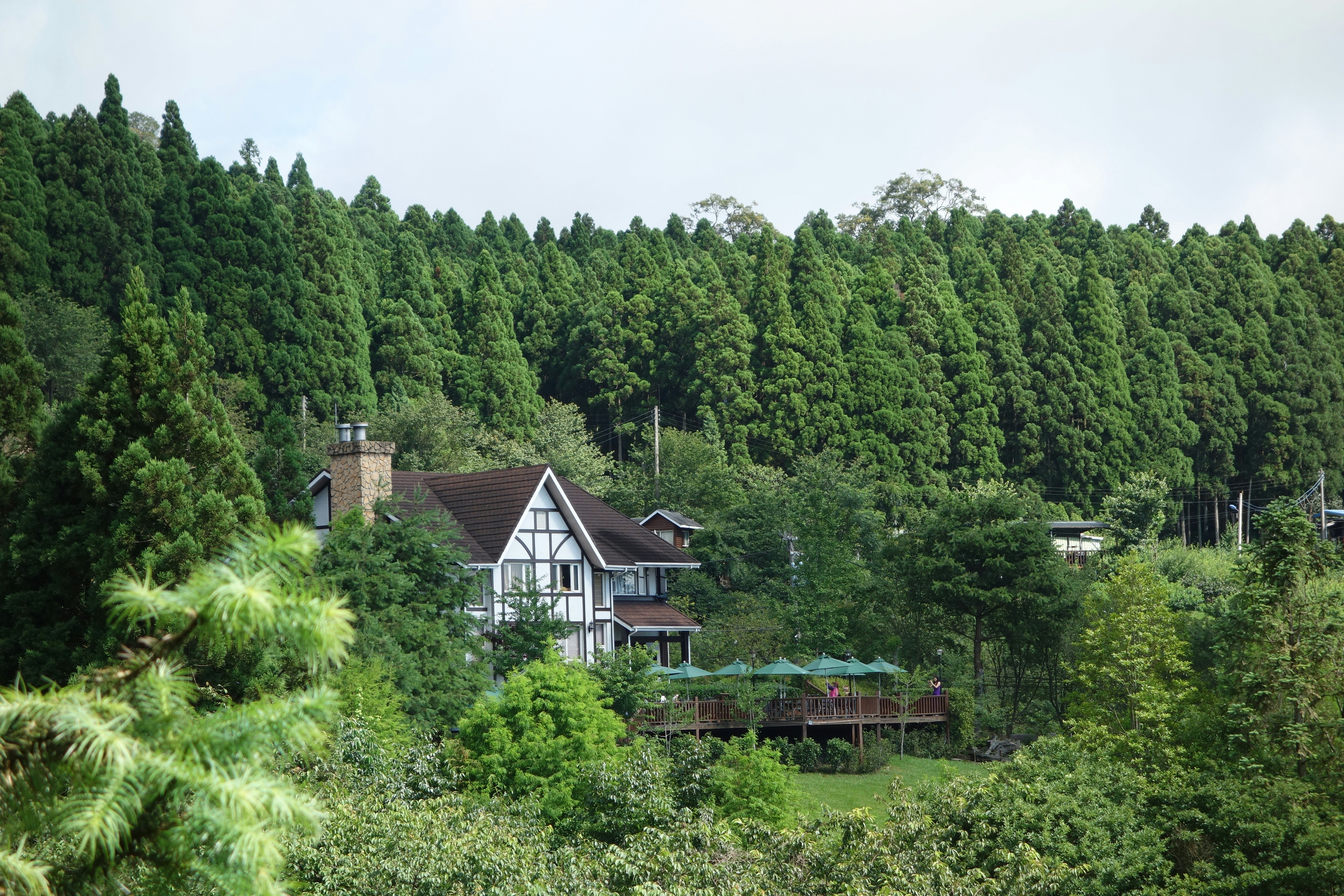 A house in the middle of a wooded area