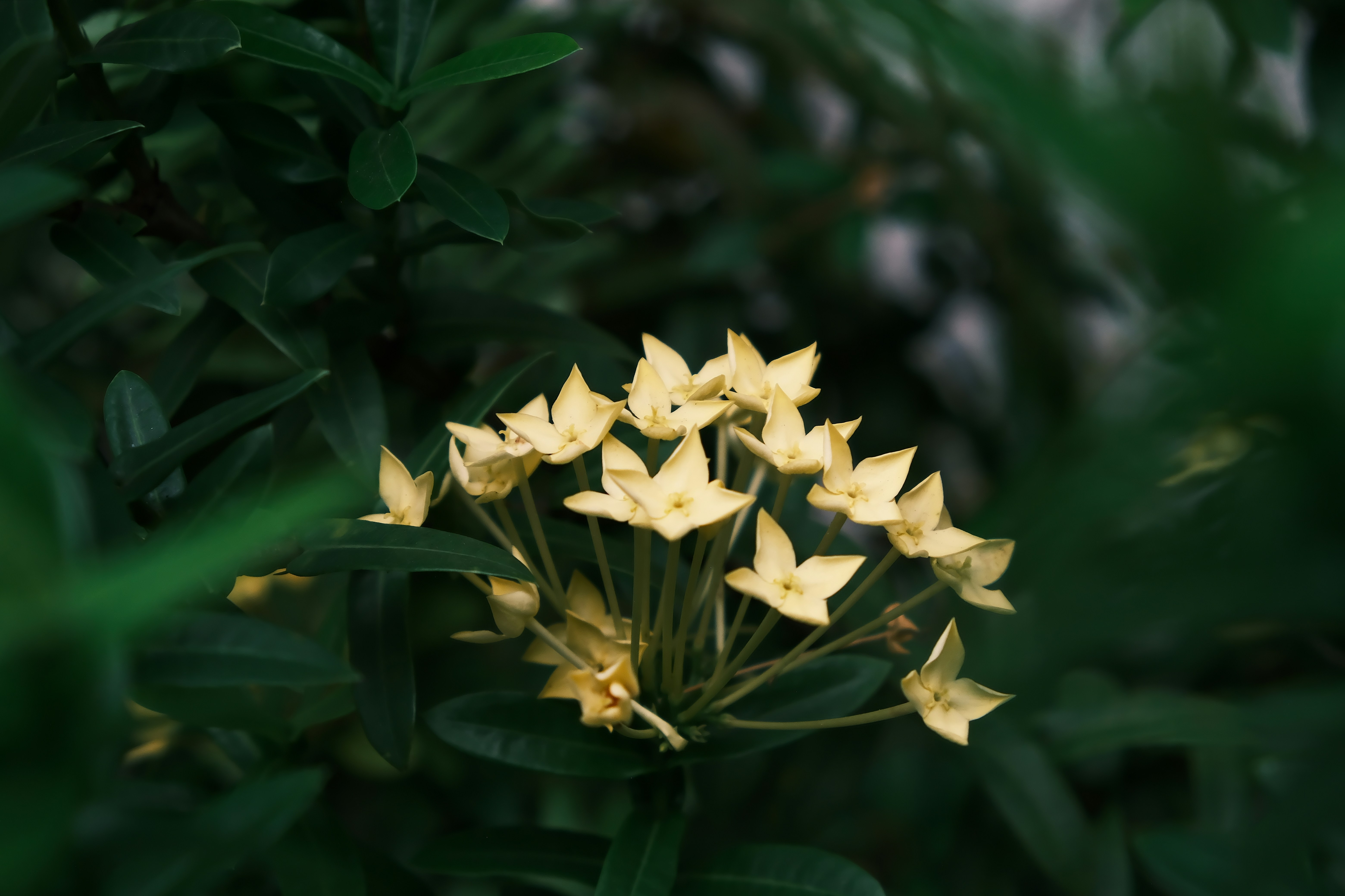 Photo by dvhoang2106