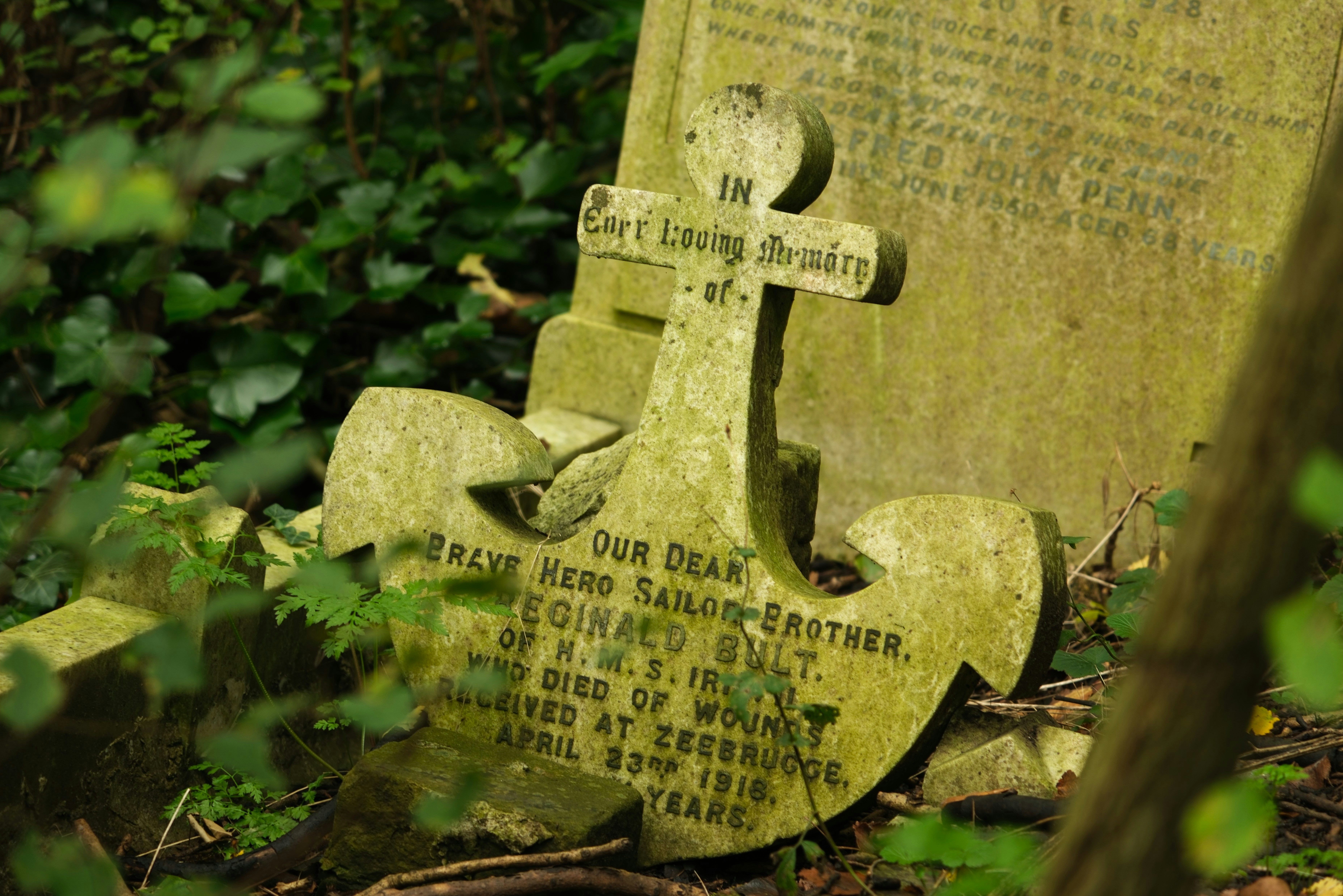 A grave in the middle of a forest