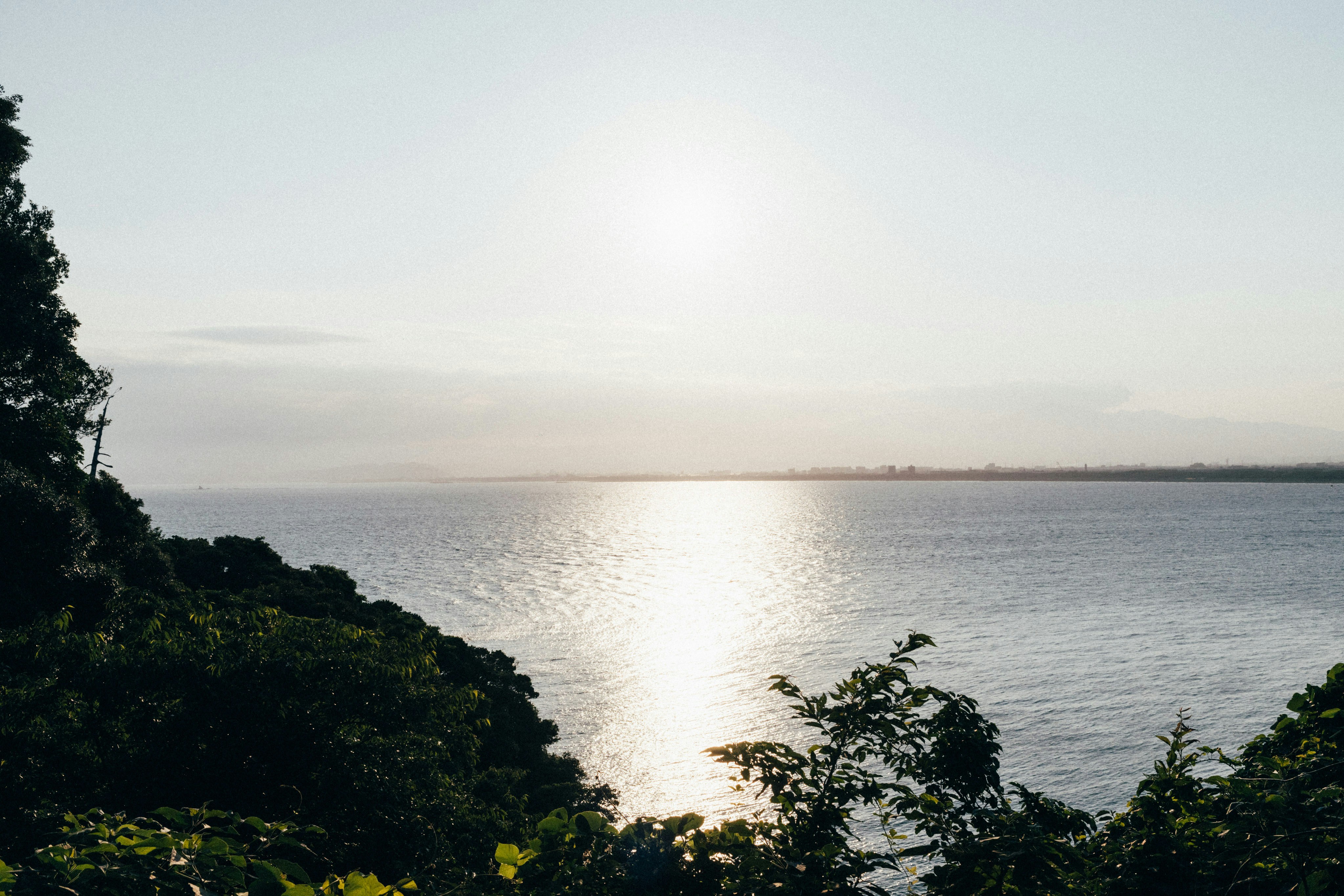 Photo by tsuyoshikozu