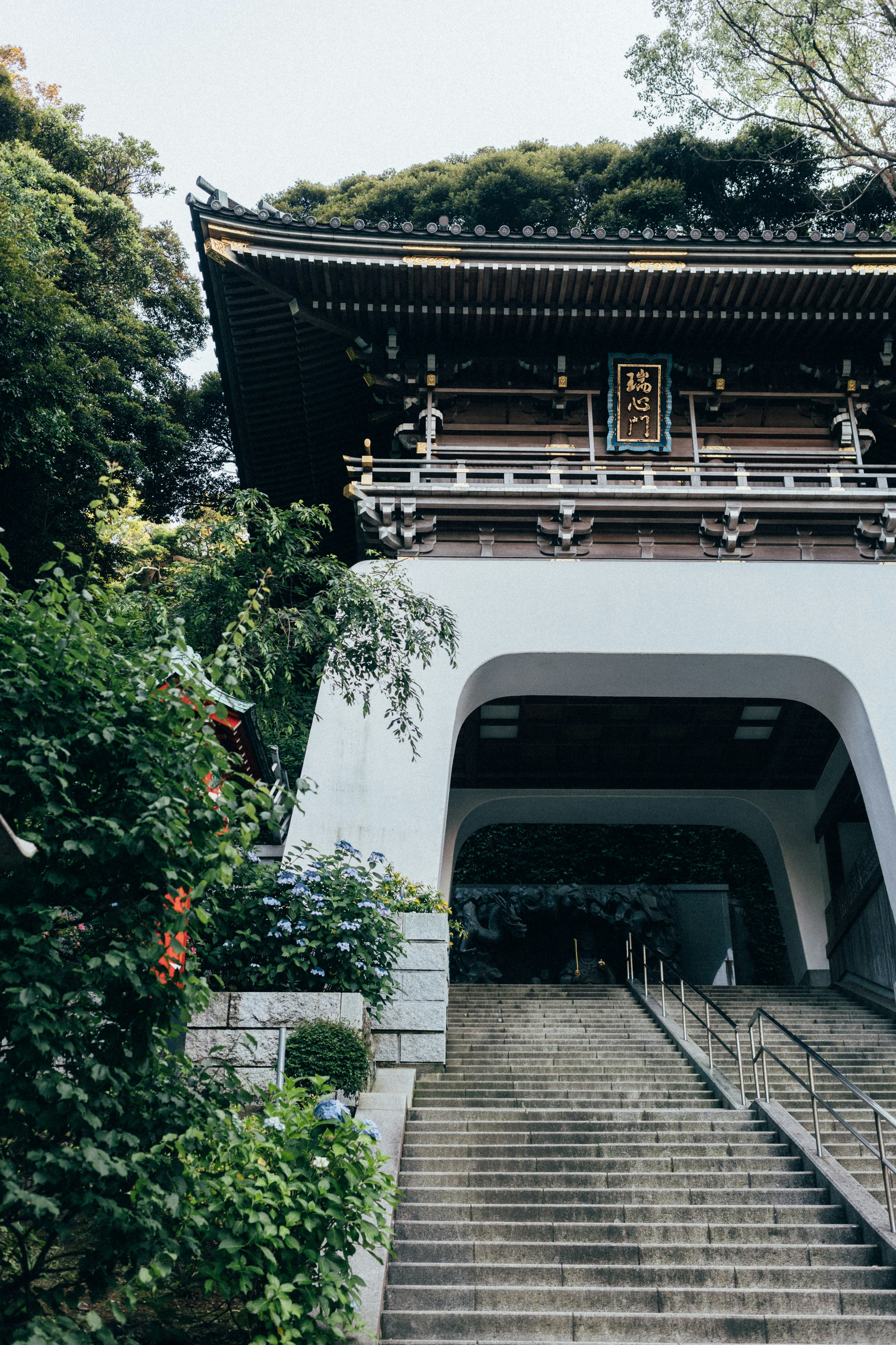 Photo by tsuyoshikozu