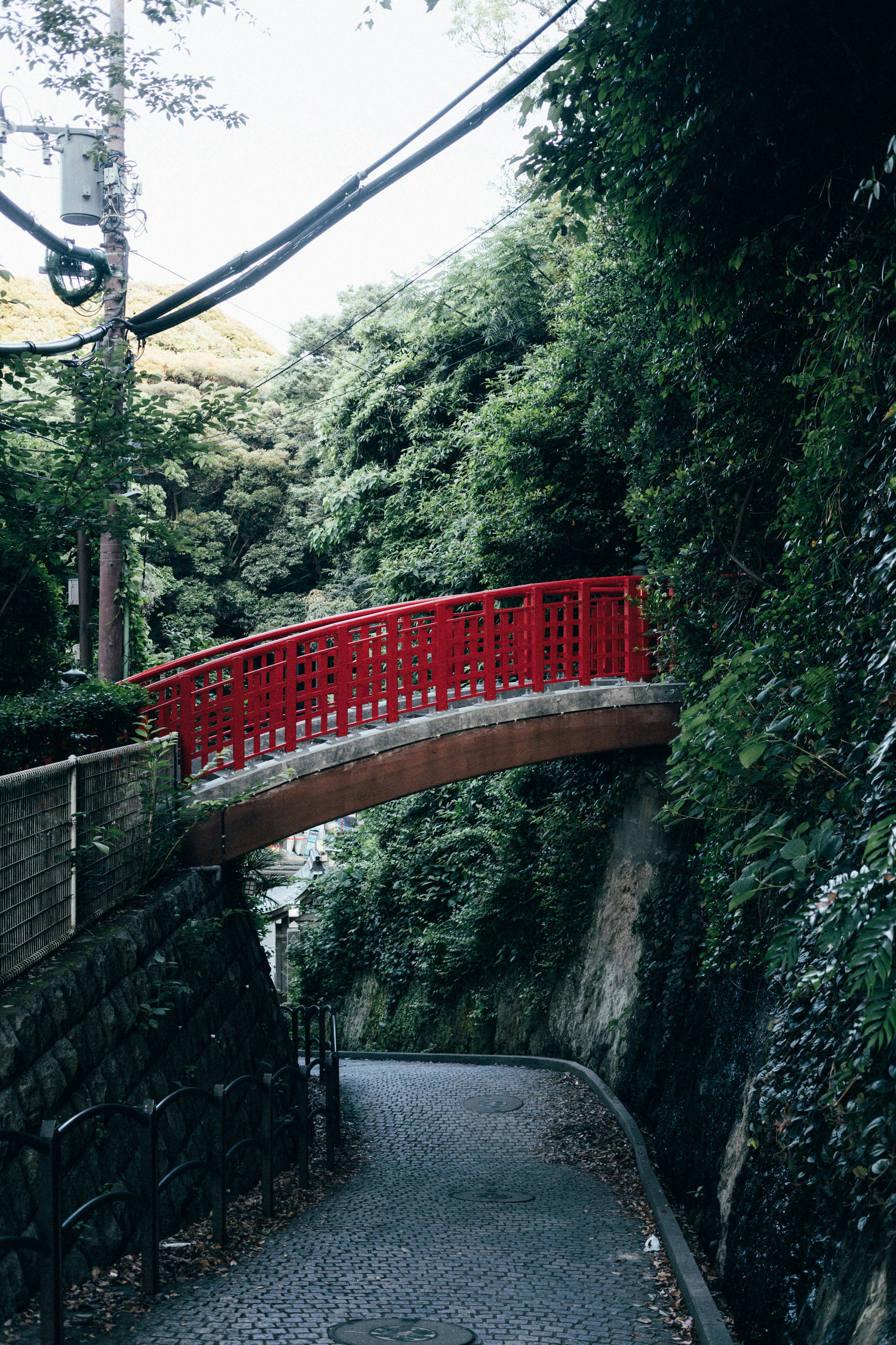 Photo by tsuyoshikozu