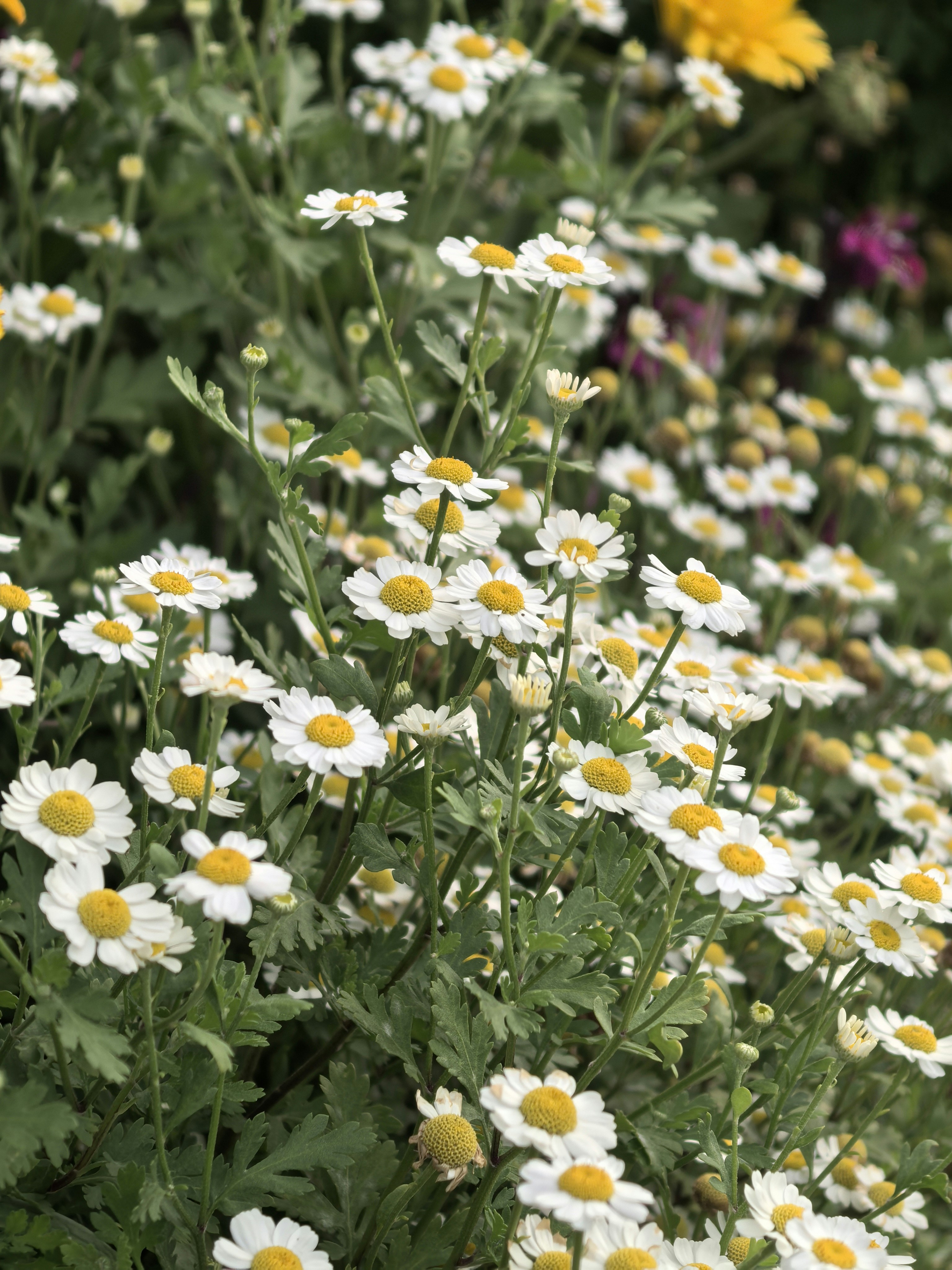 Photo by lisakvictor