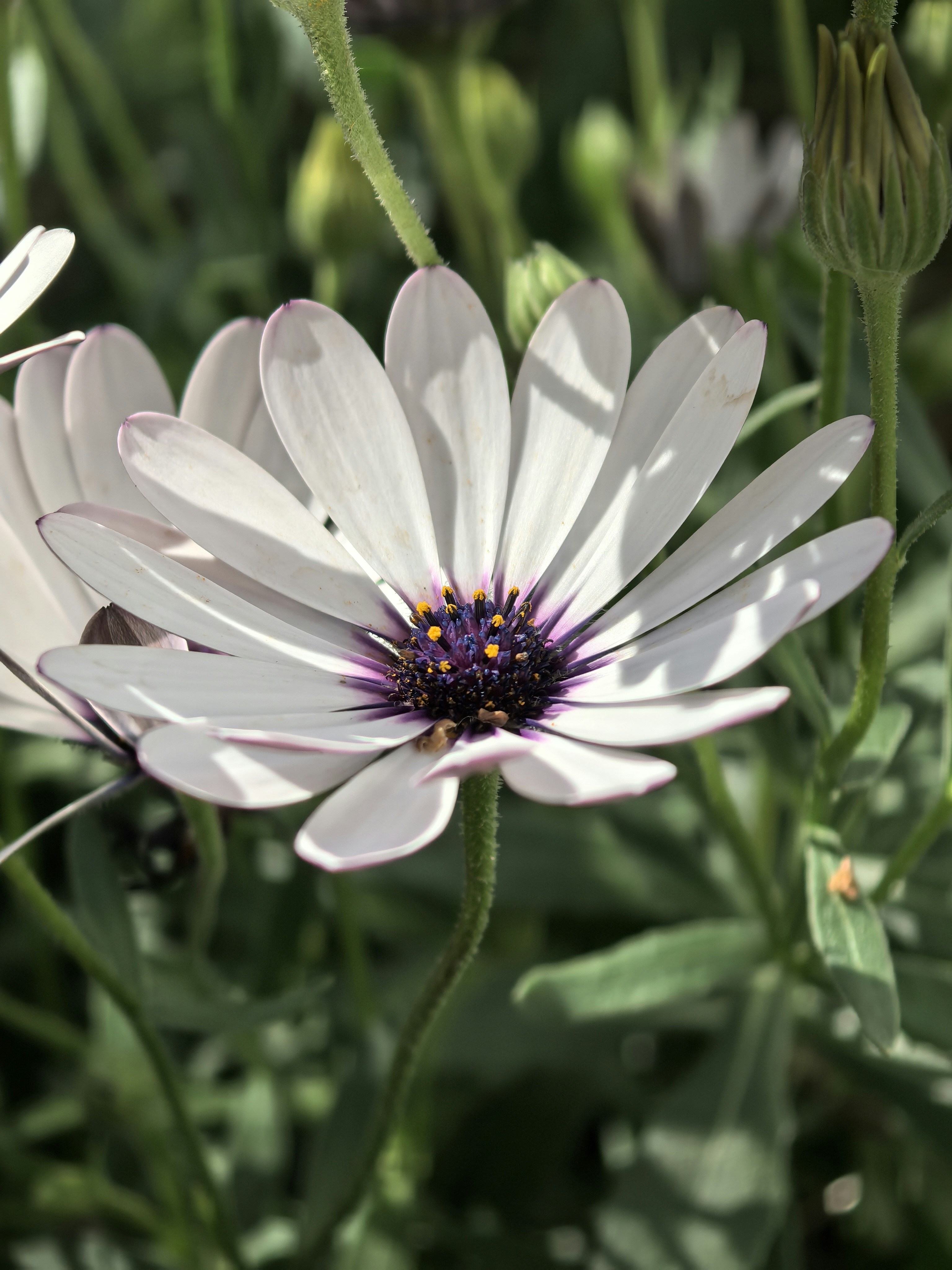 Photo by lisakvictor