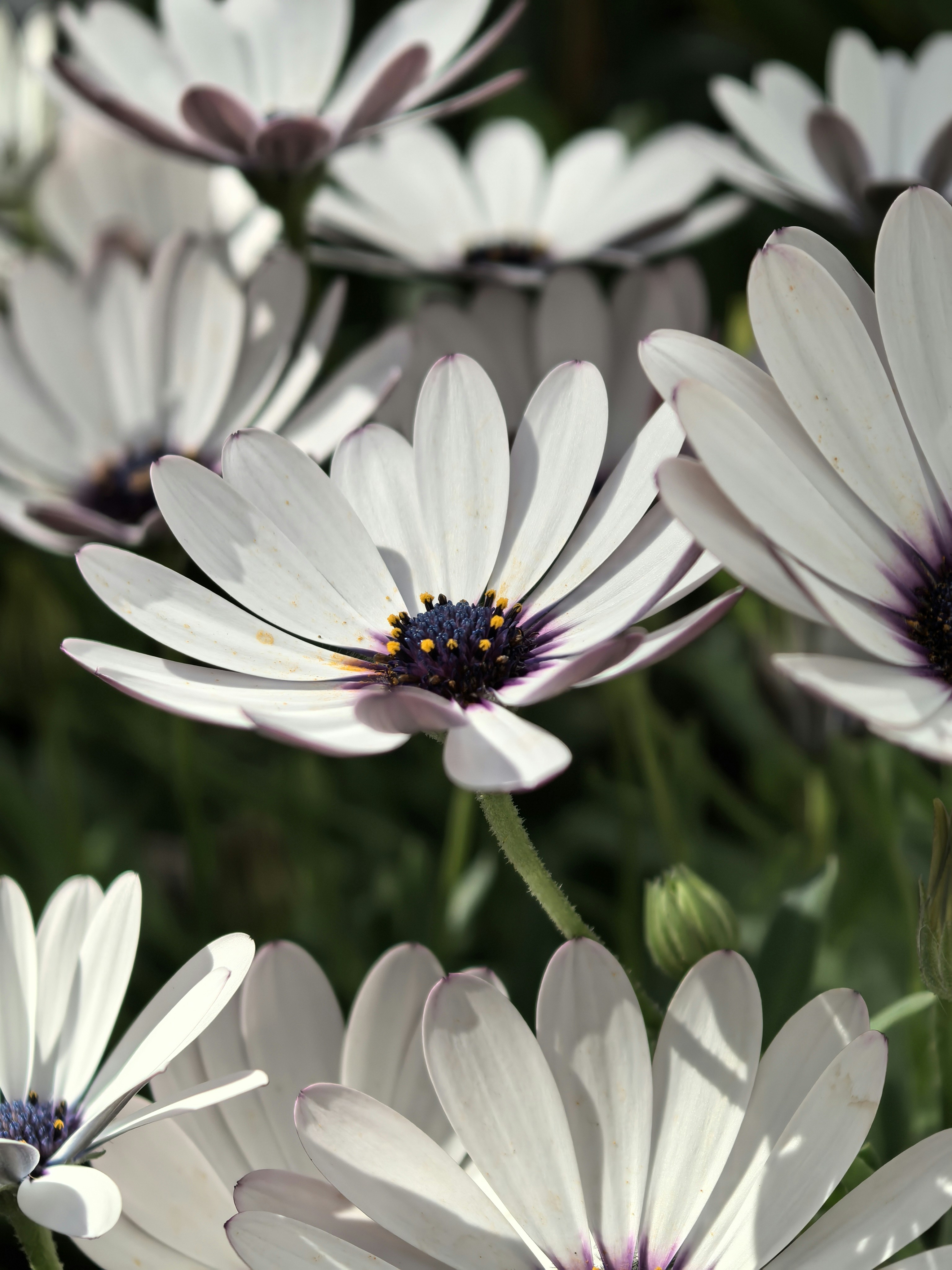 Photo by lisakvictor