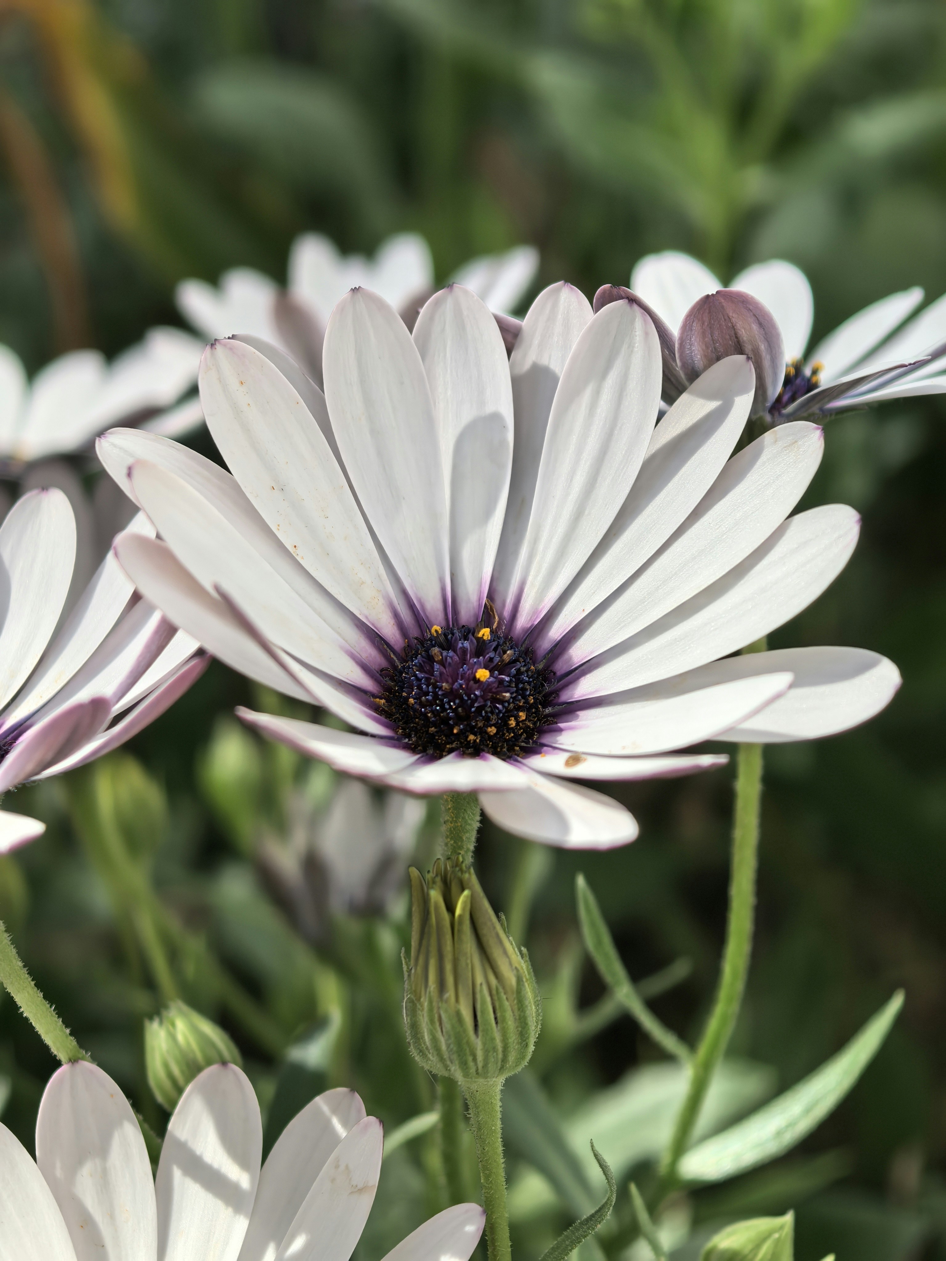 Photo by lisakvictor