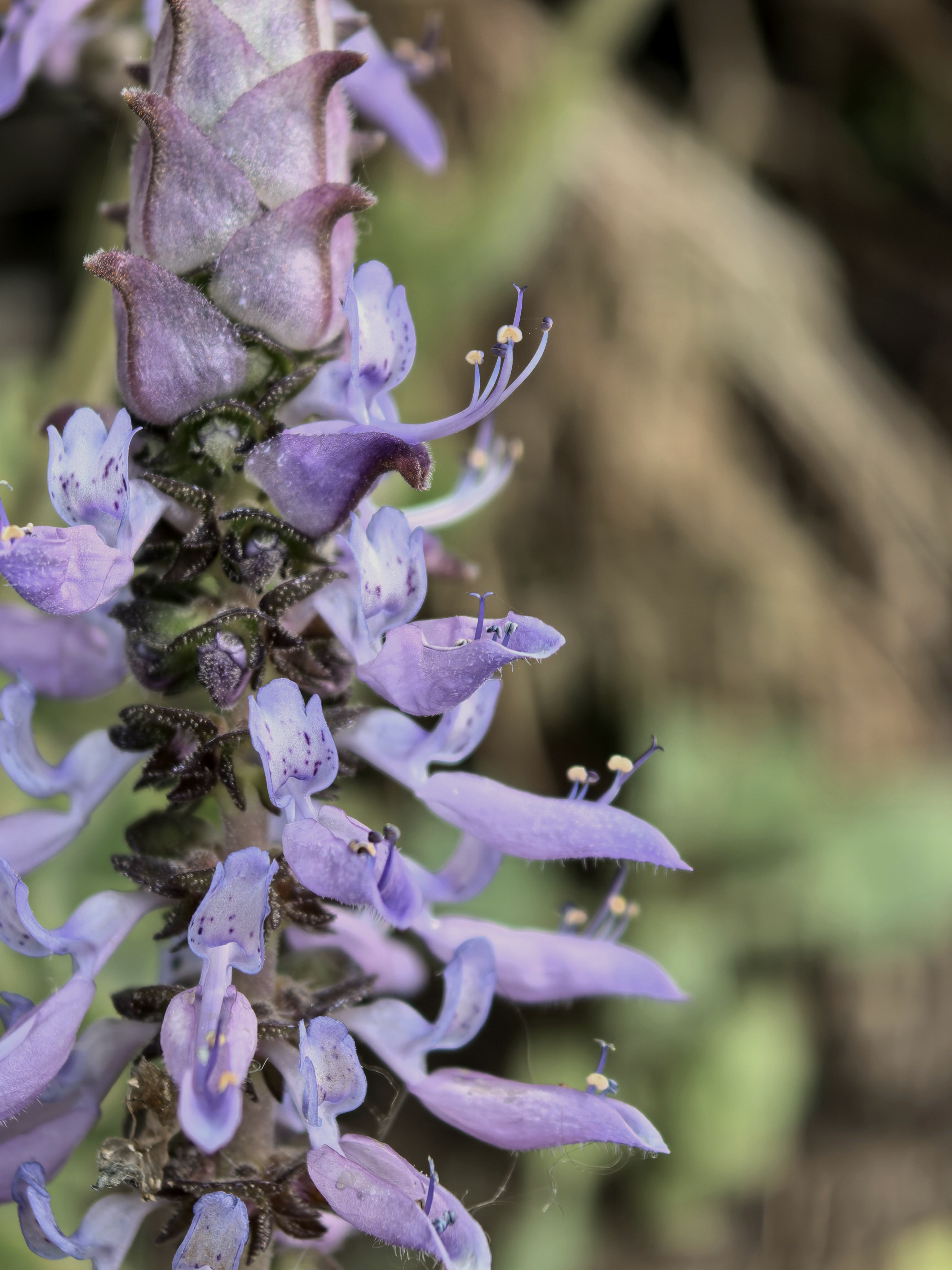 Photo by lisakvictor