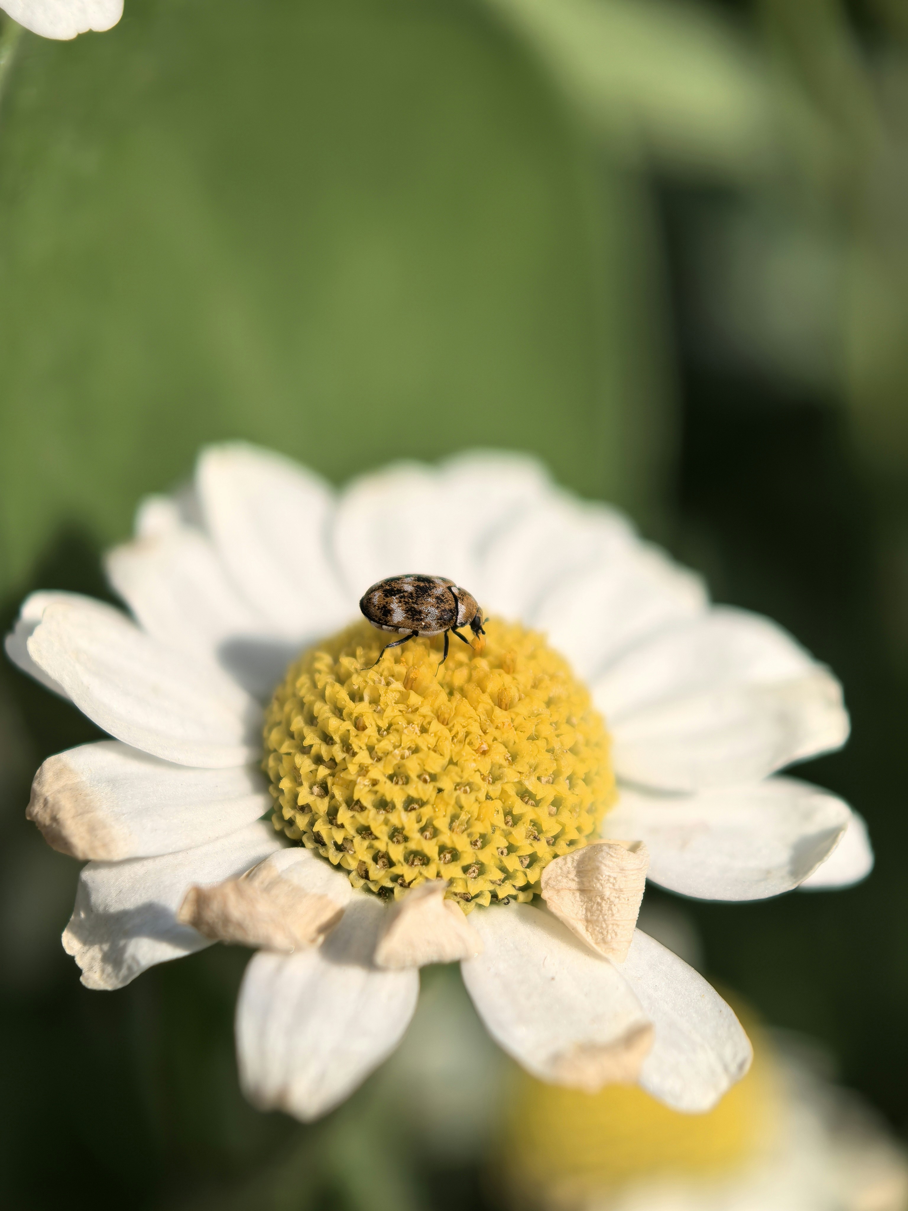 Photo by lisakvictor