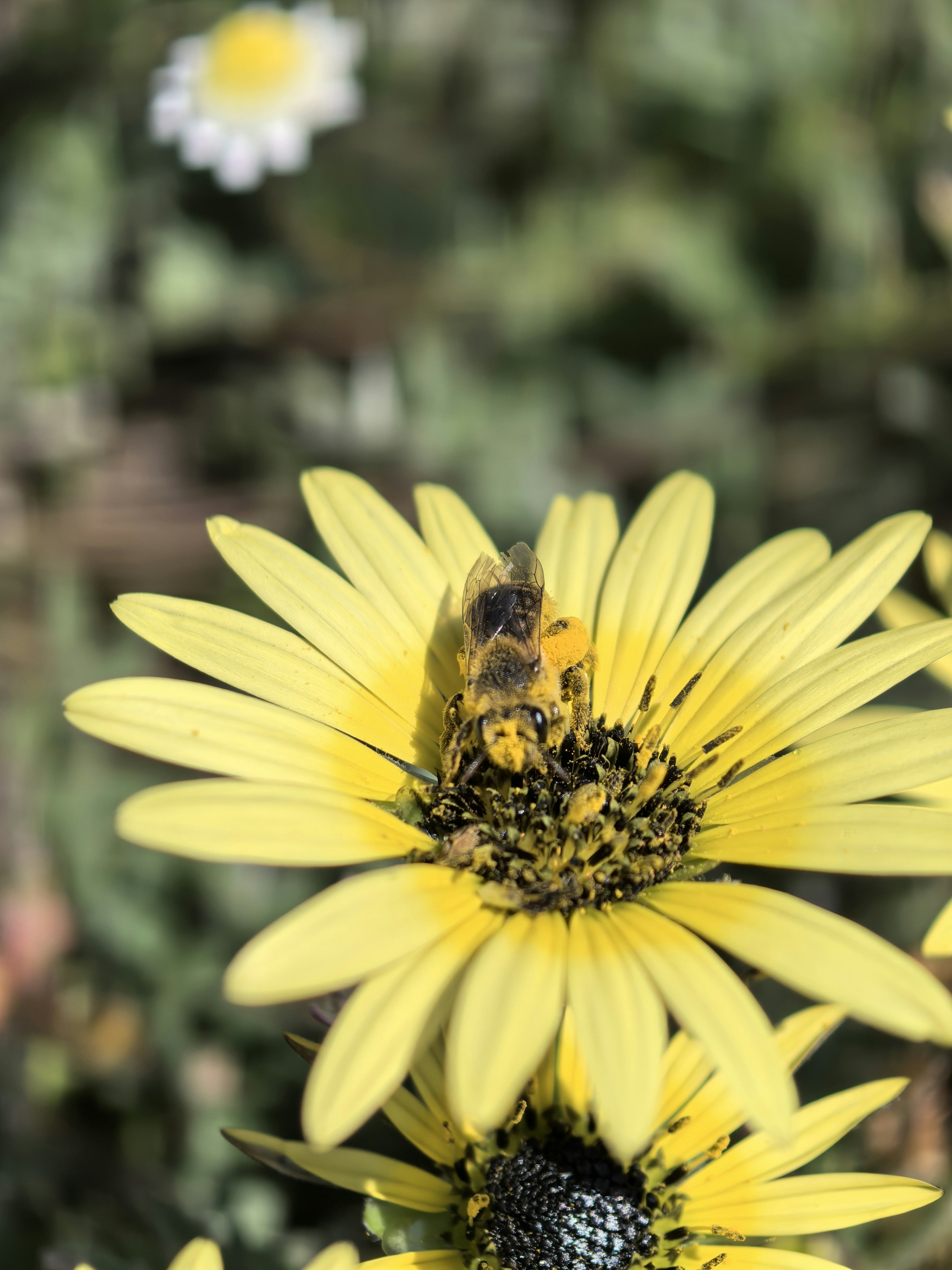 Photo by lisakvictor