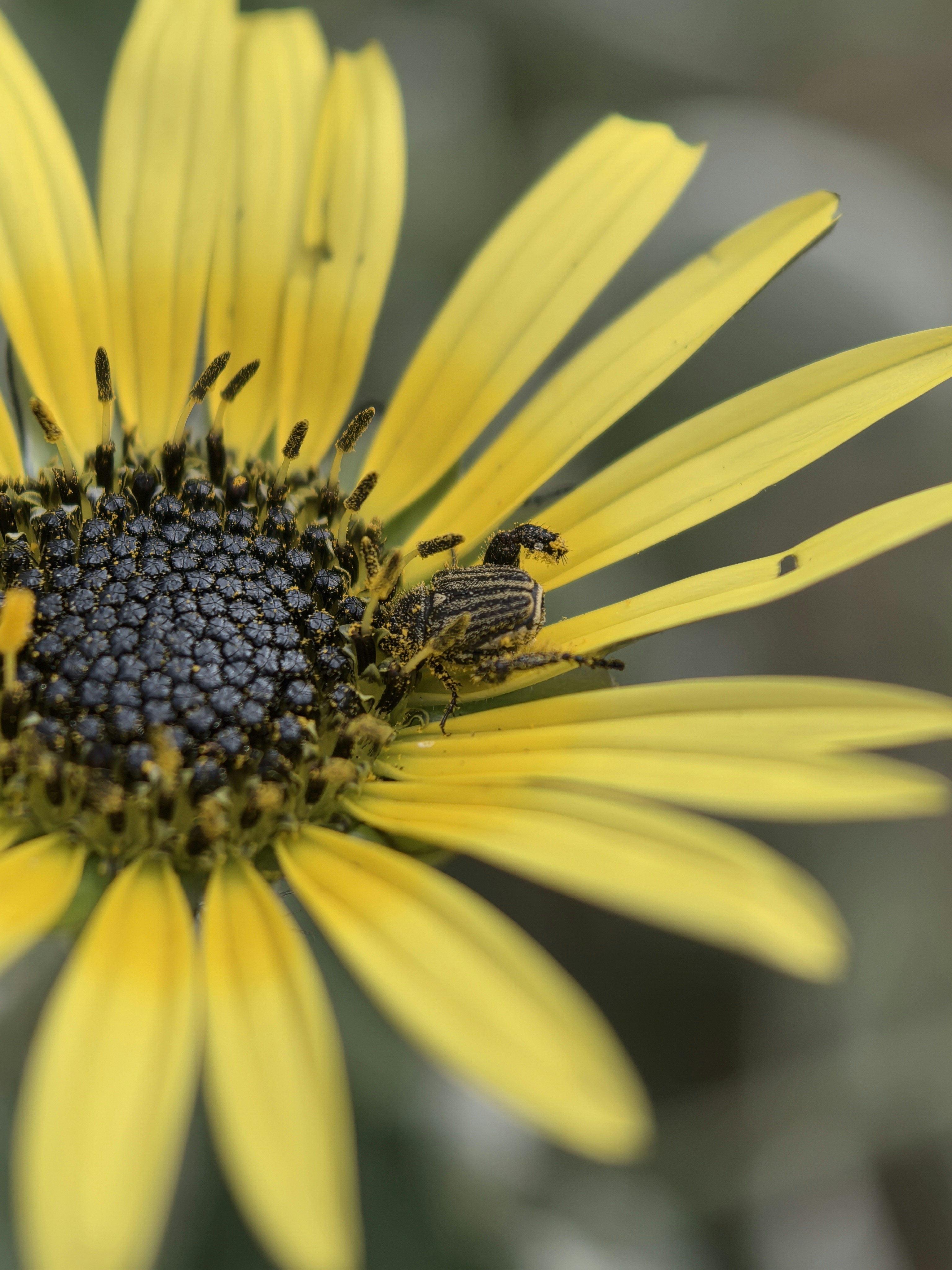 Photo by lisakvictor