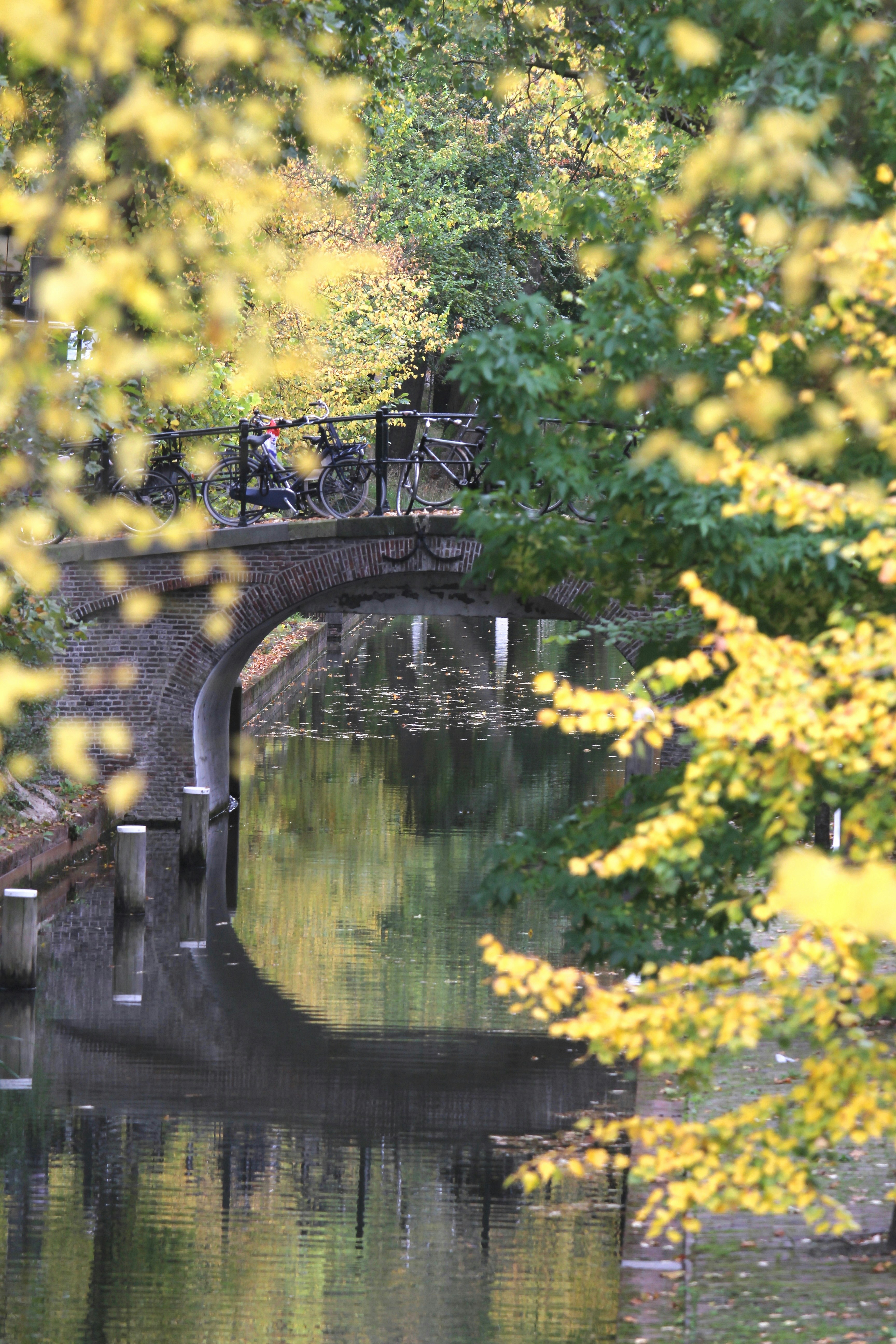 Photo by adphotography