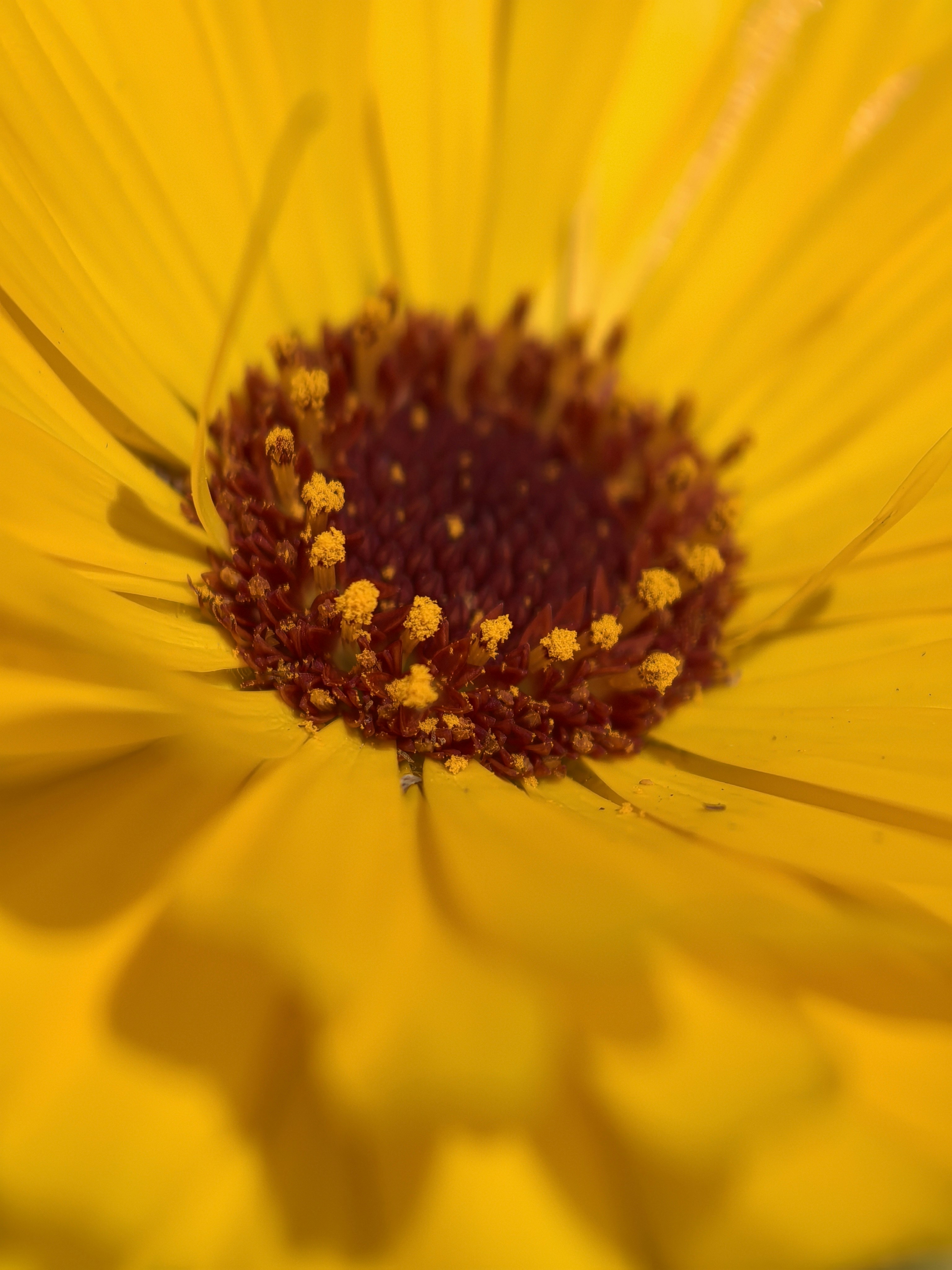 Photo by lisakvictor