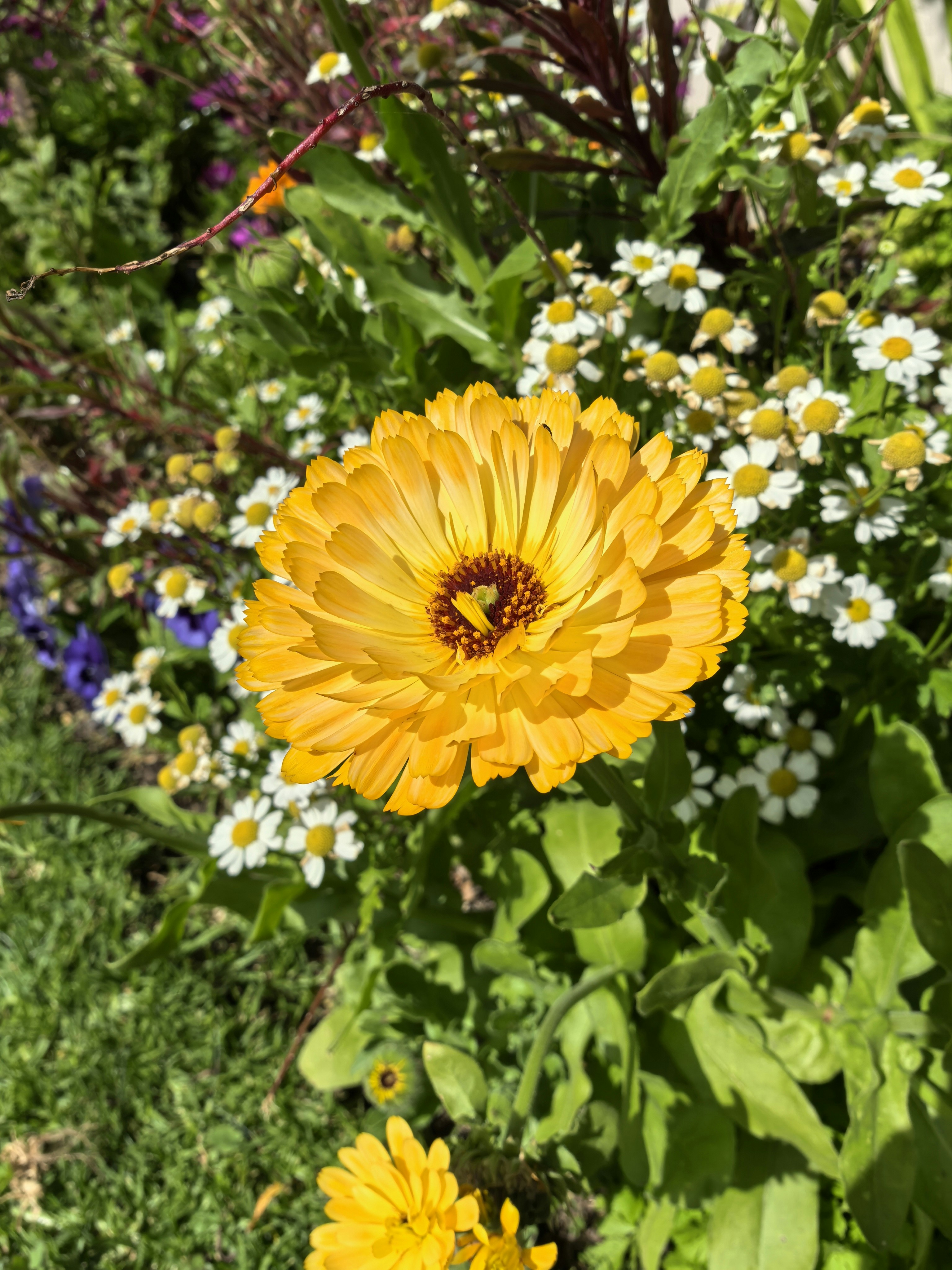 Photo by lisakvictor