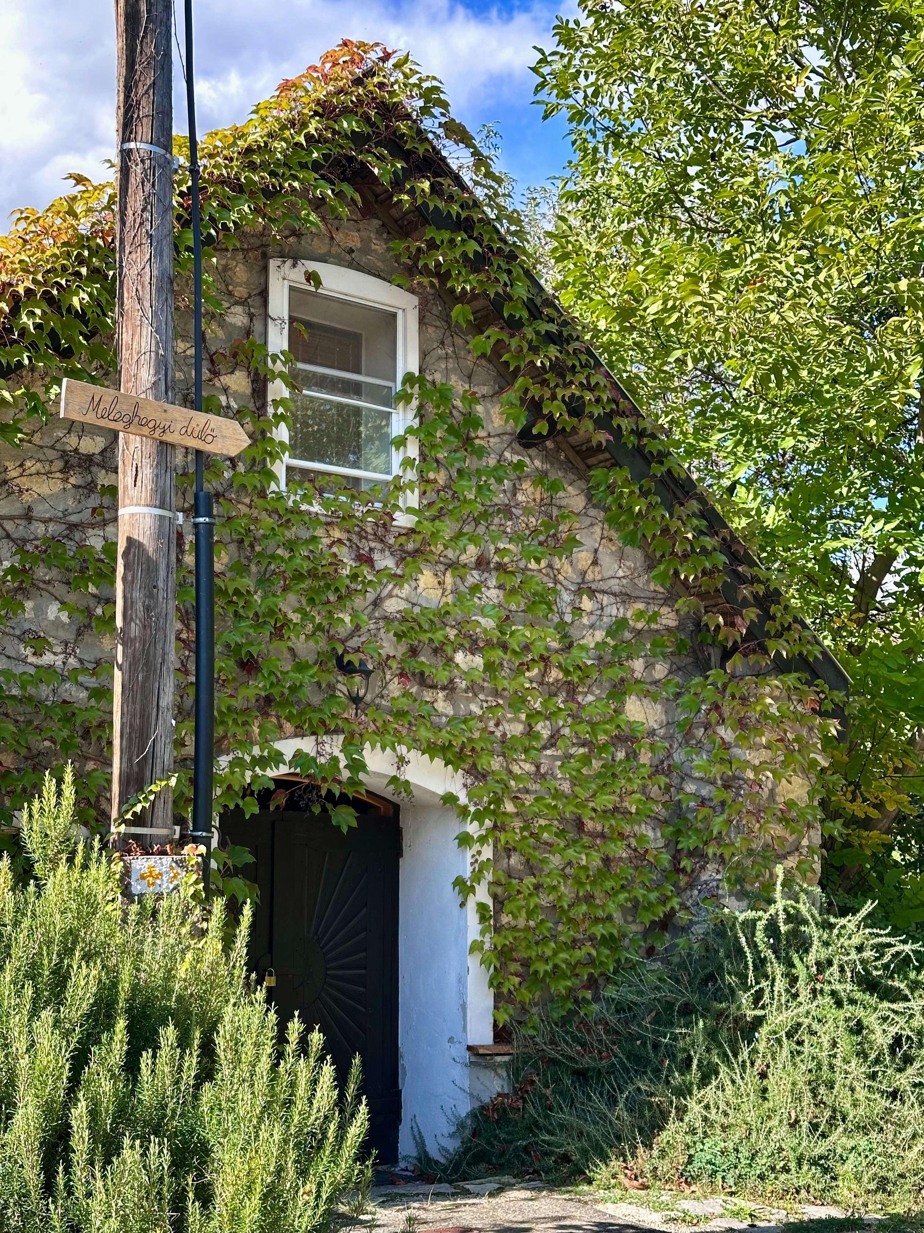 Photo by holdingerbence