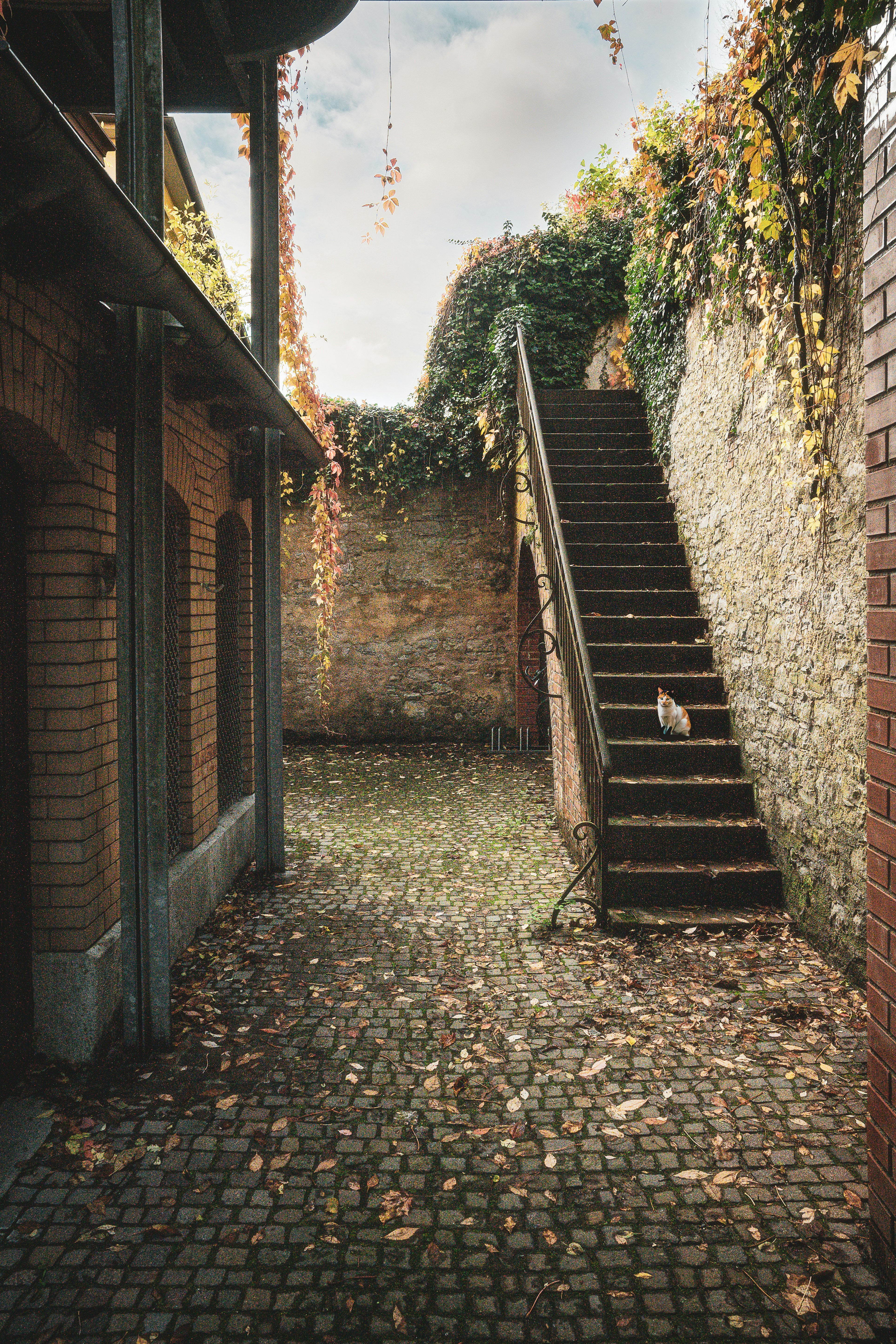 Photo by printlinebyflo