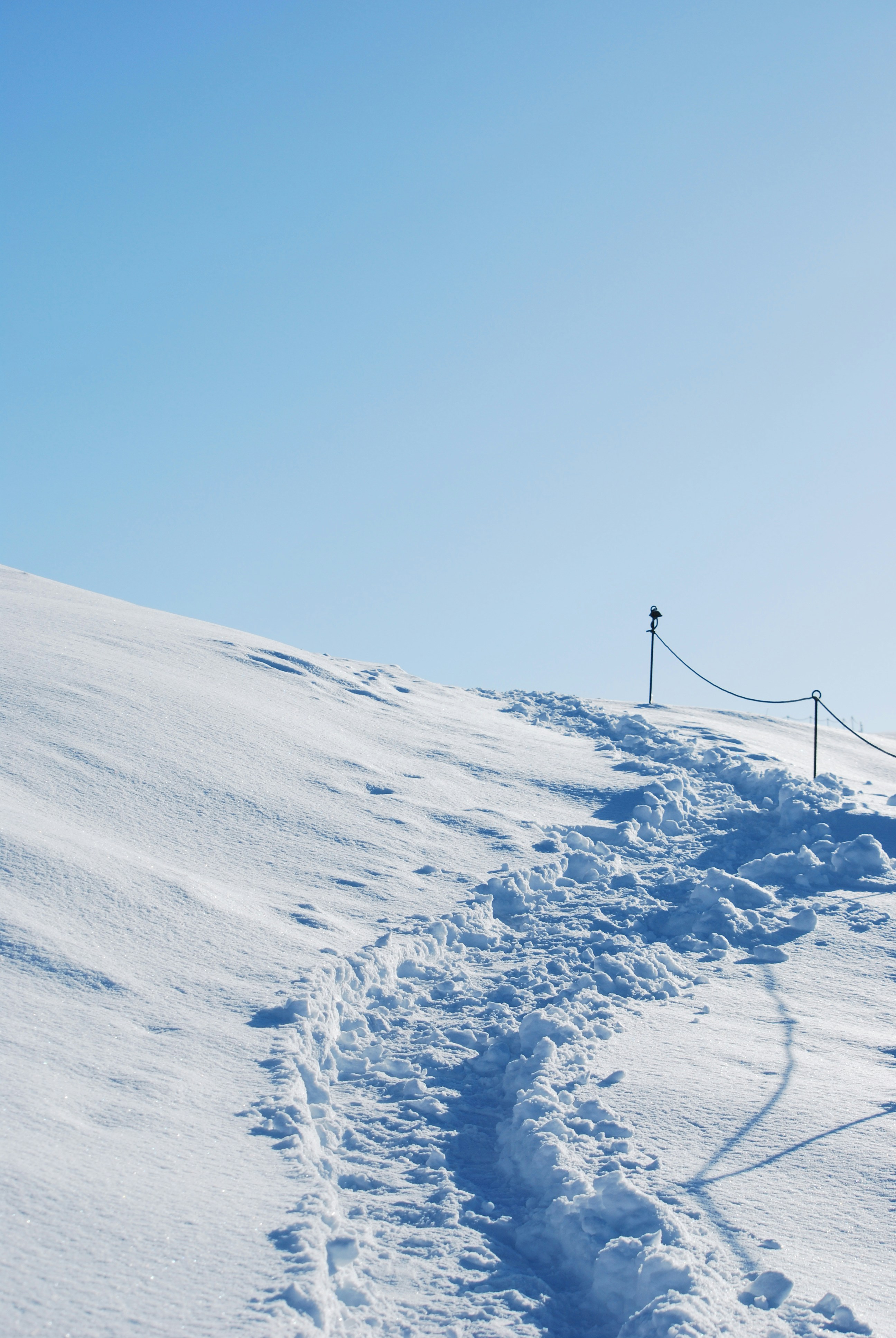 Photo by aureliewlln