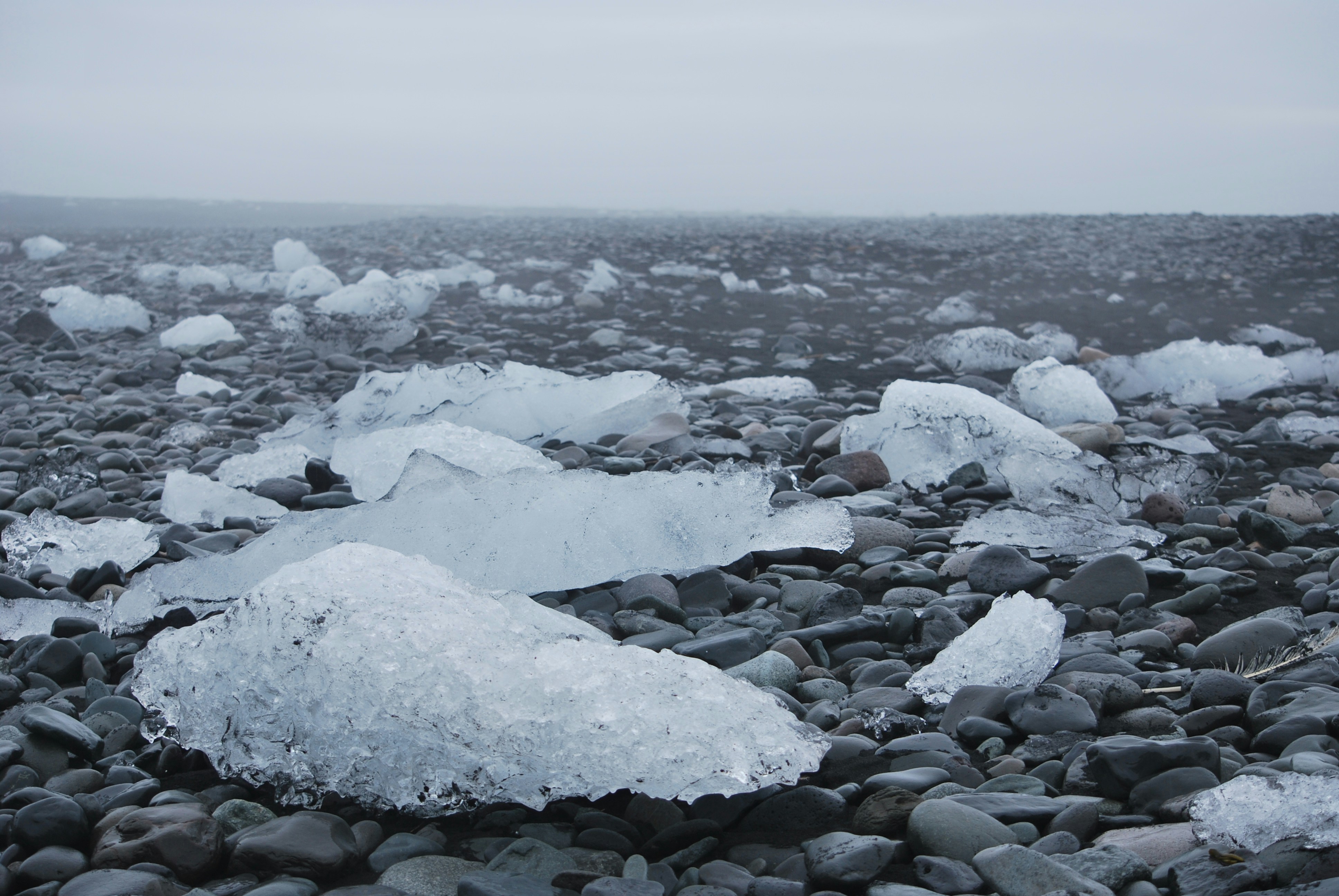 Photo by aureliewlln