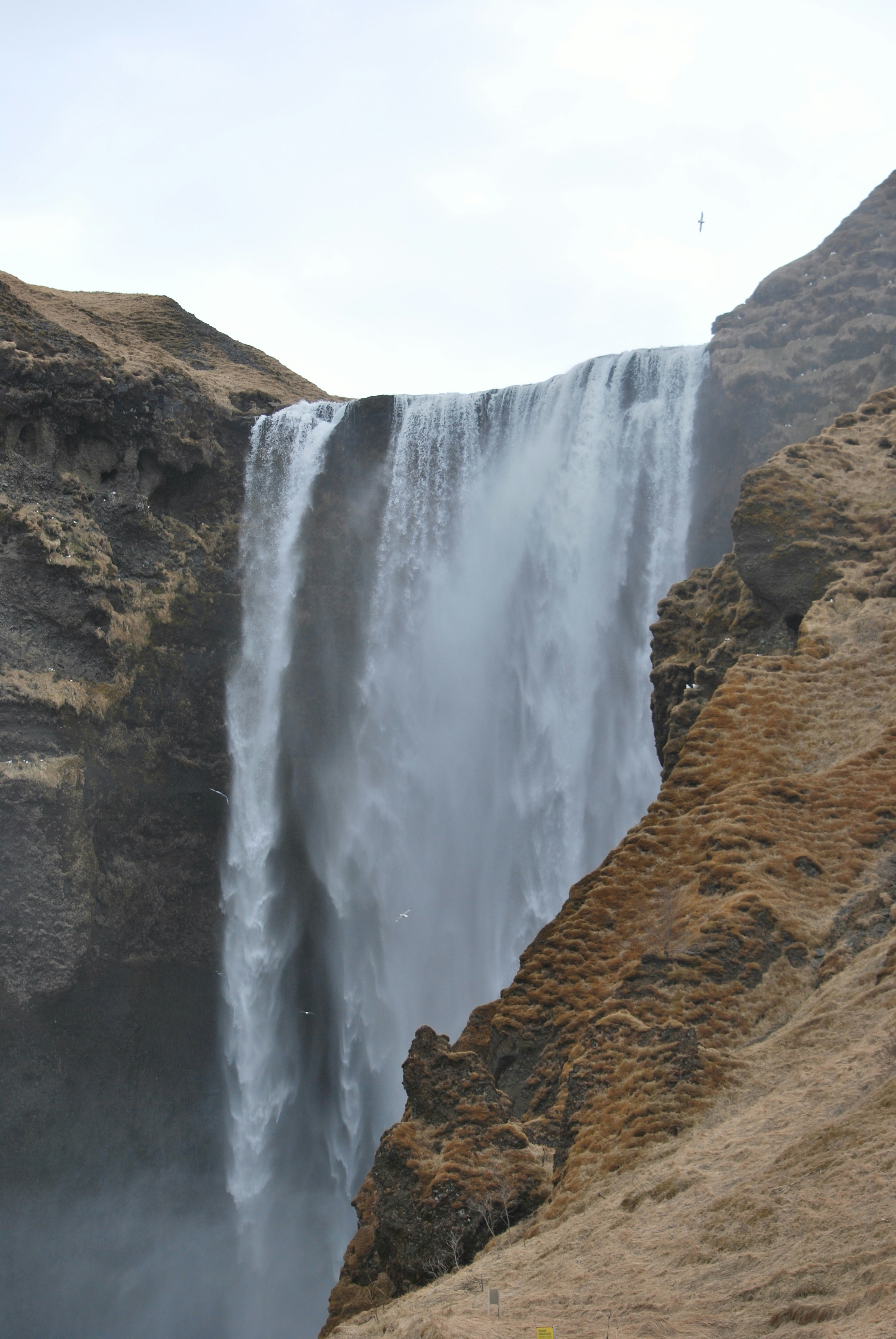 Photo by aureliewlln