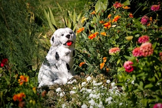 A white and black dog sitting in a field of flowers