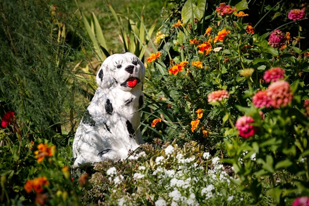 A white and black dog sitting in a field of flowers