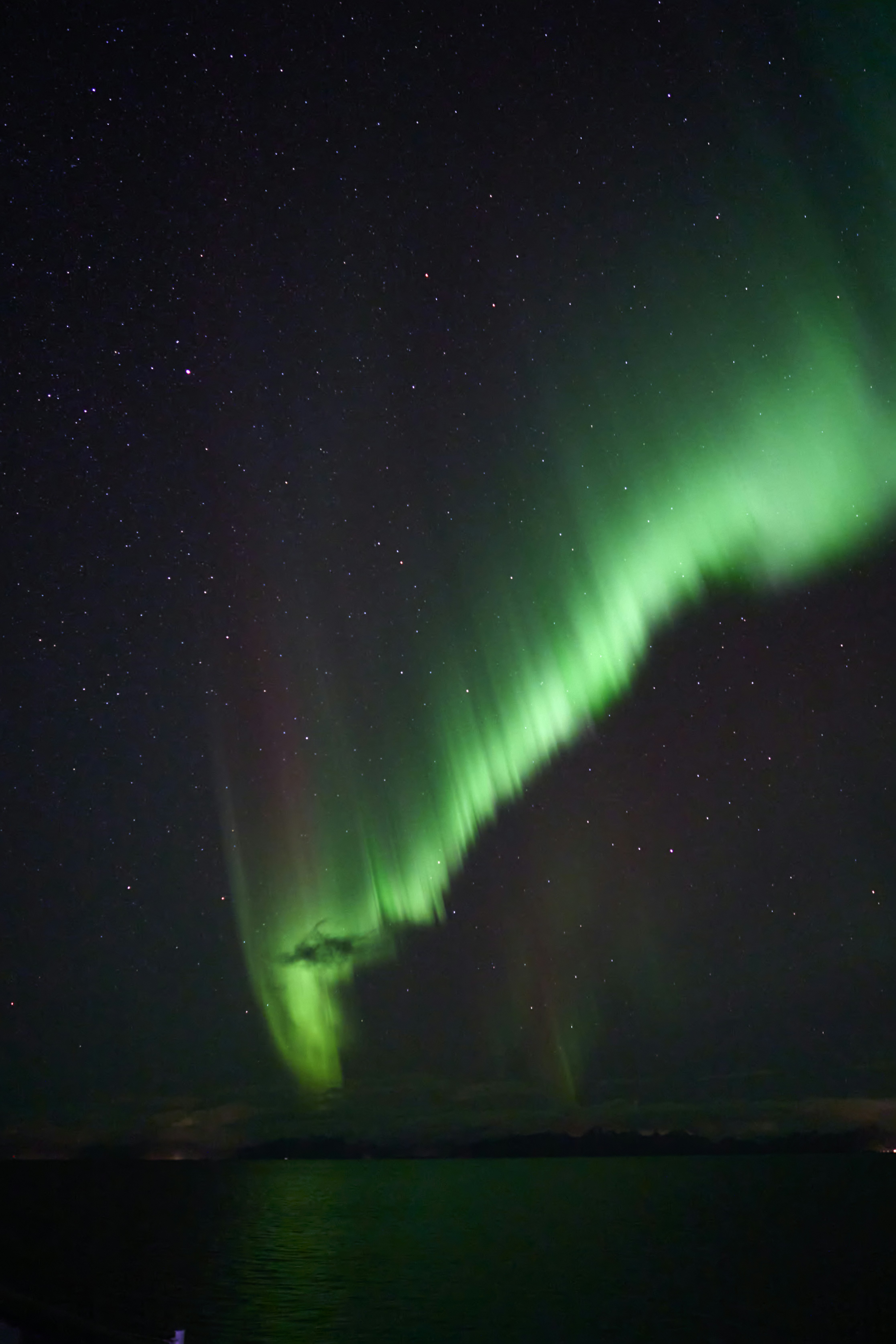 Photo by wolfgang_hasselmann