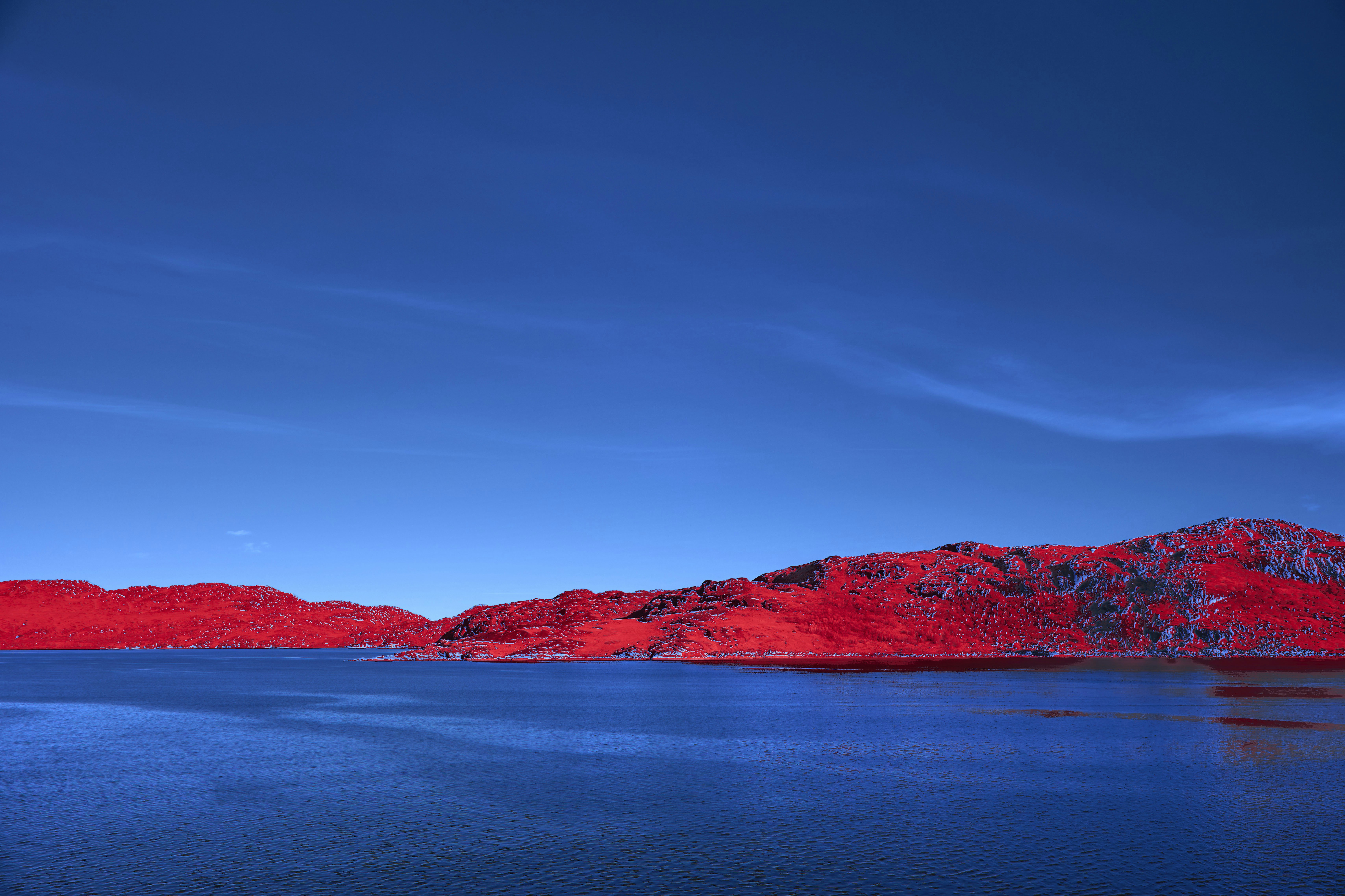 Photo by wolfgang_hasselmann