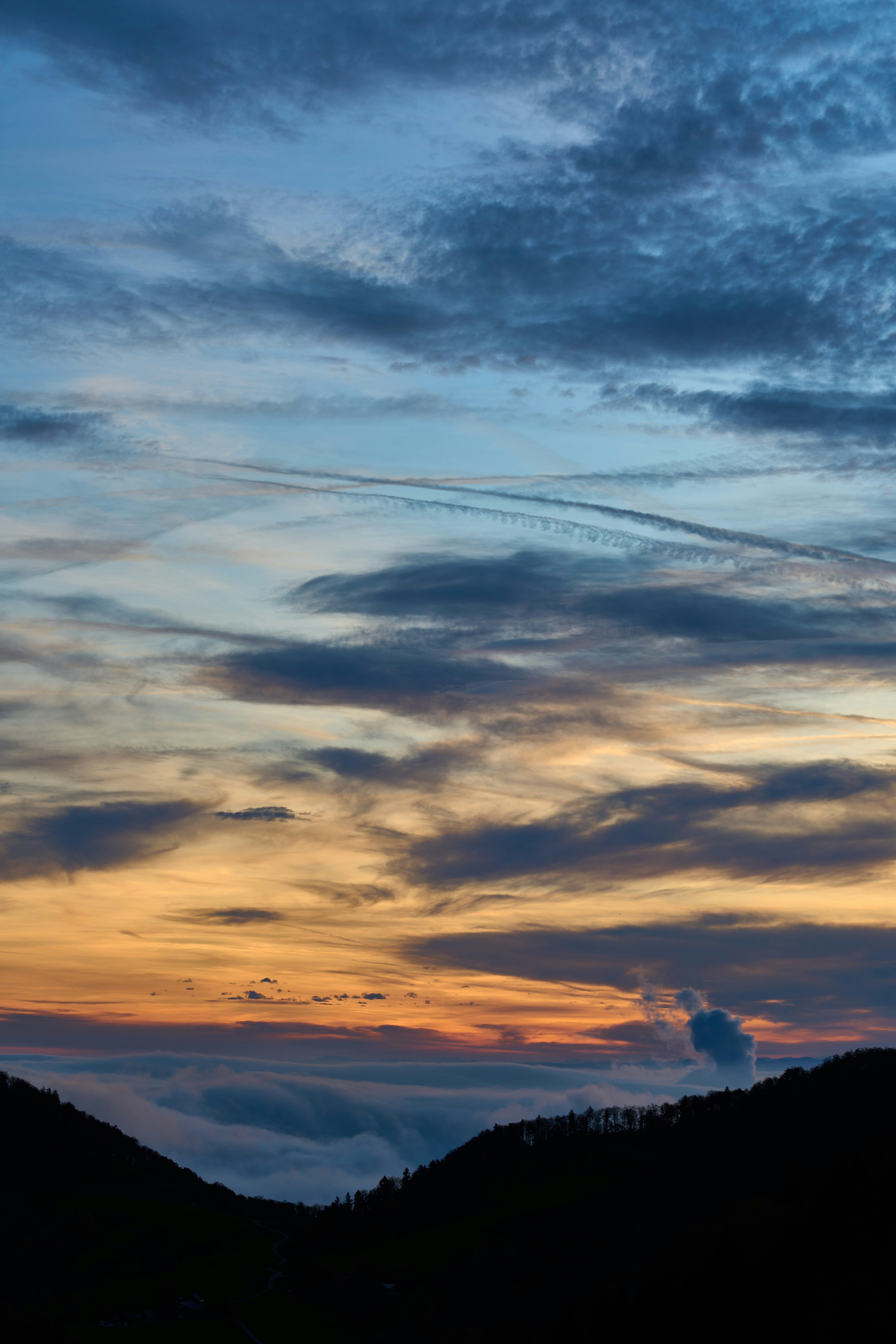 Photo by wolfgang_hasselmann