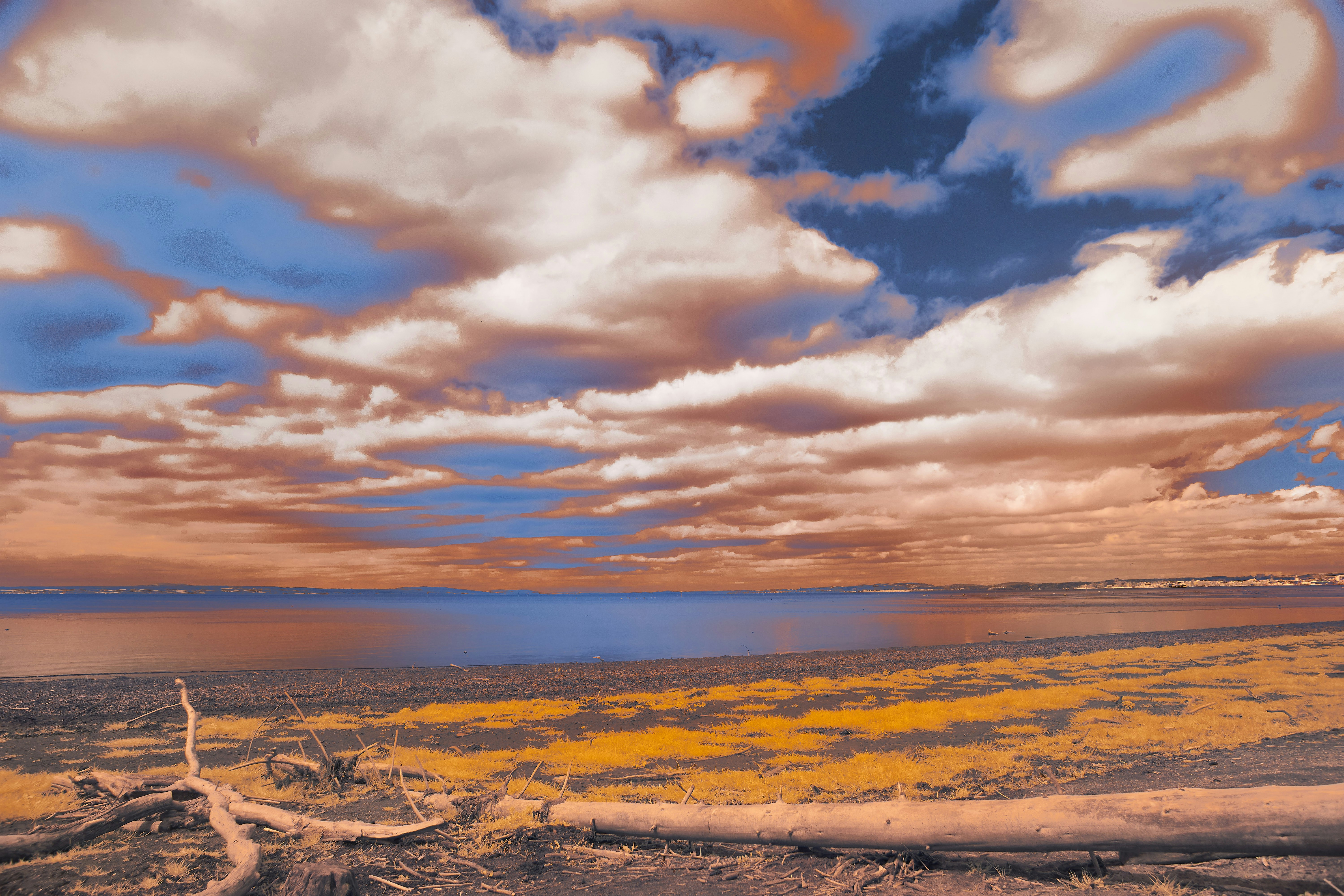 Photo by wolfgang_hasselmann