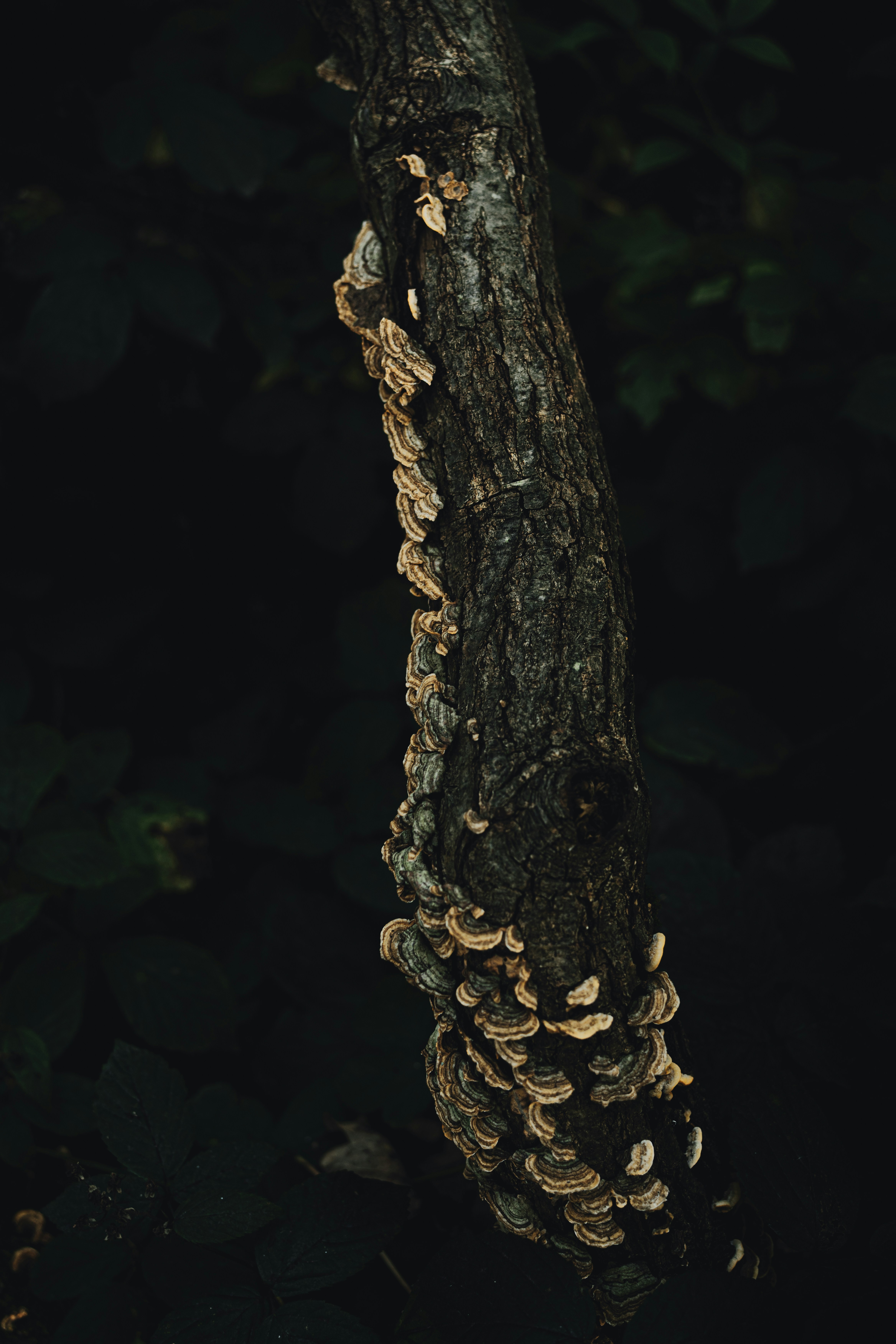 Photo by alexisnthere_