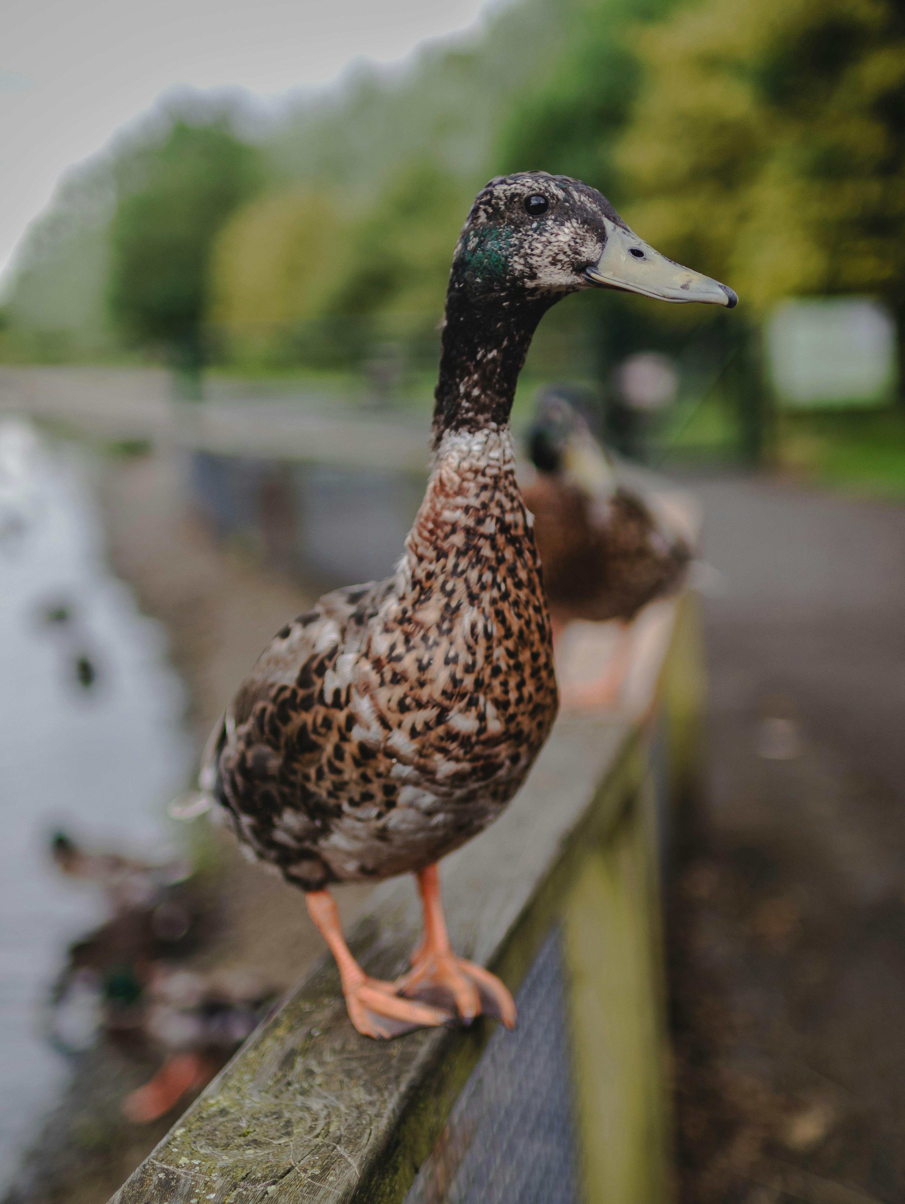 Photo by starkie_pics