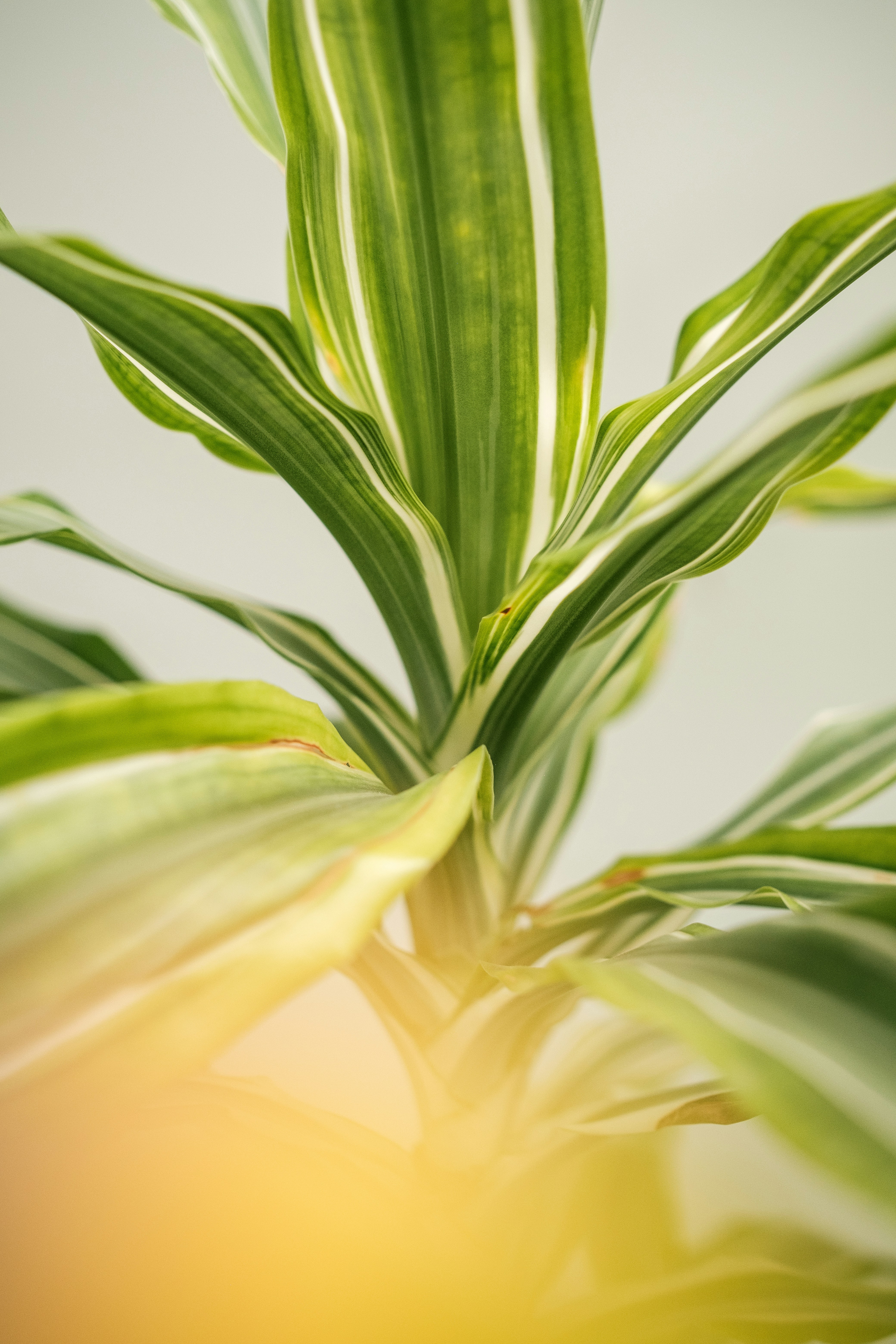 Photo by alex_quezada