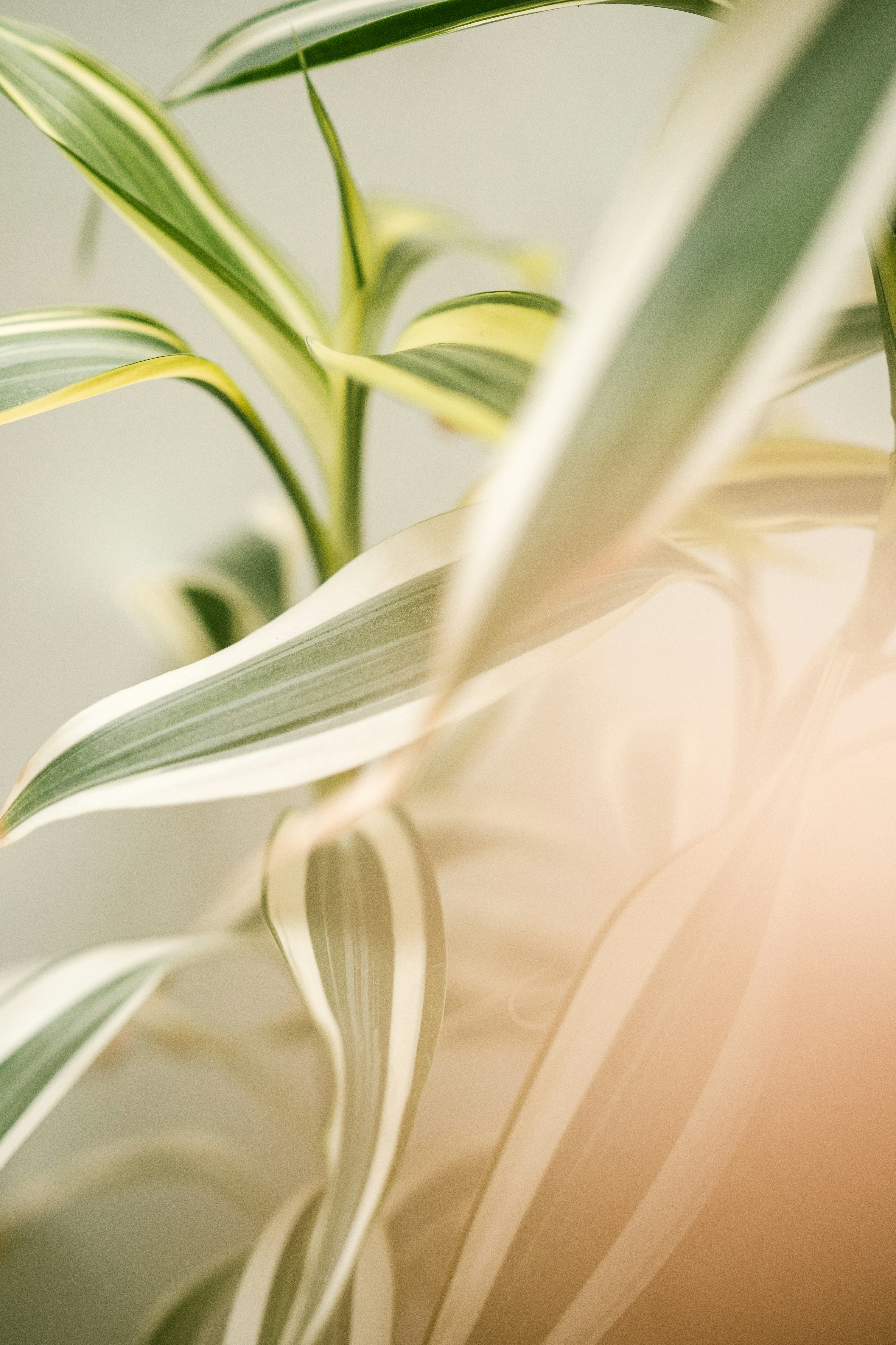 Photo by alex_quezada