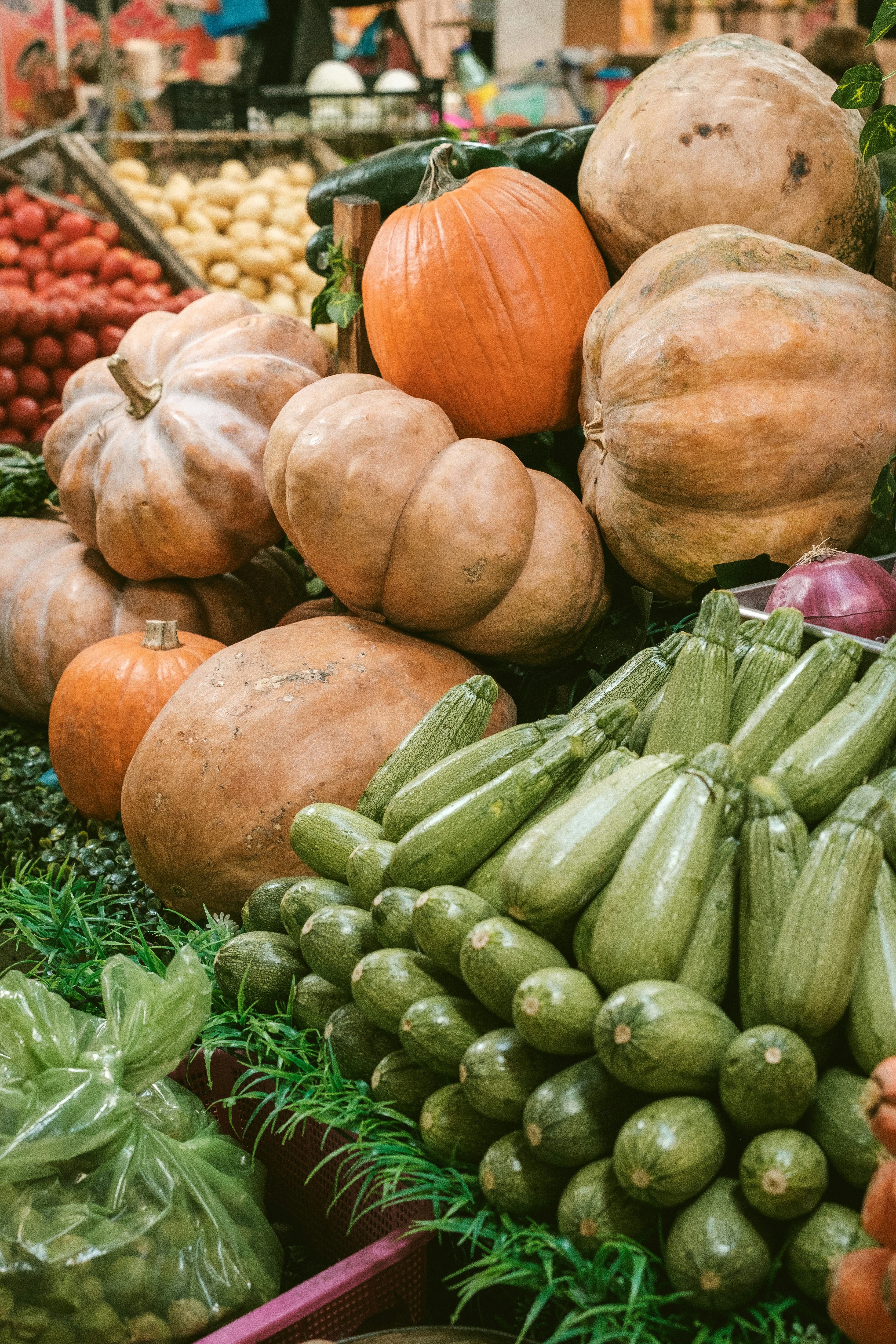 Photo by alex_quezada