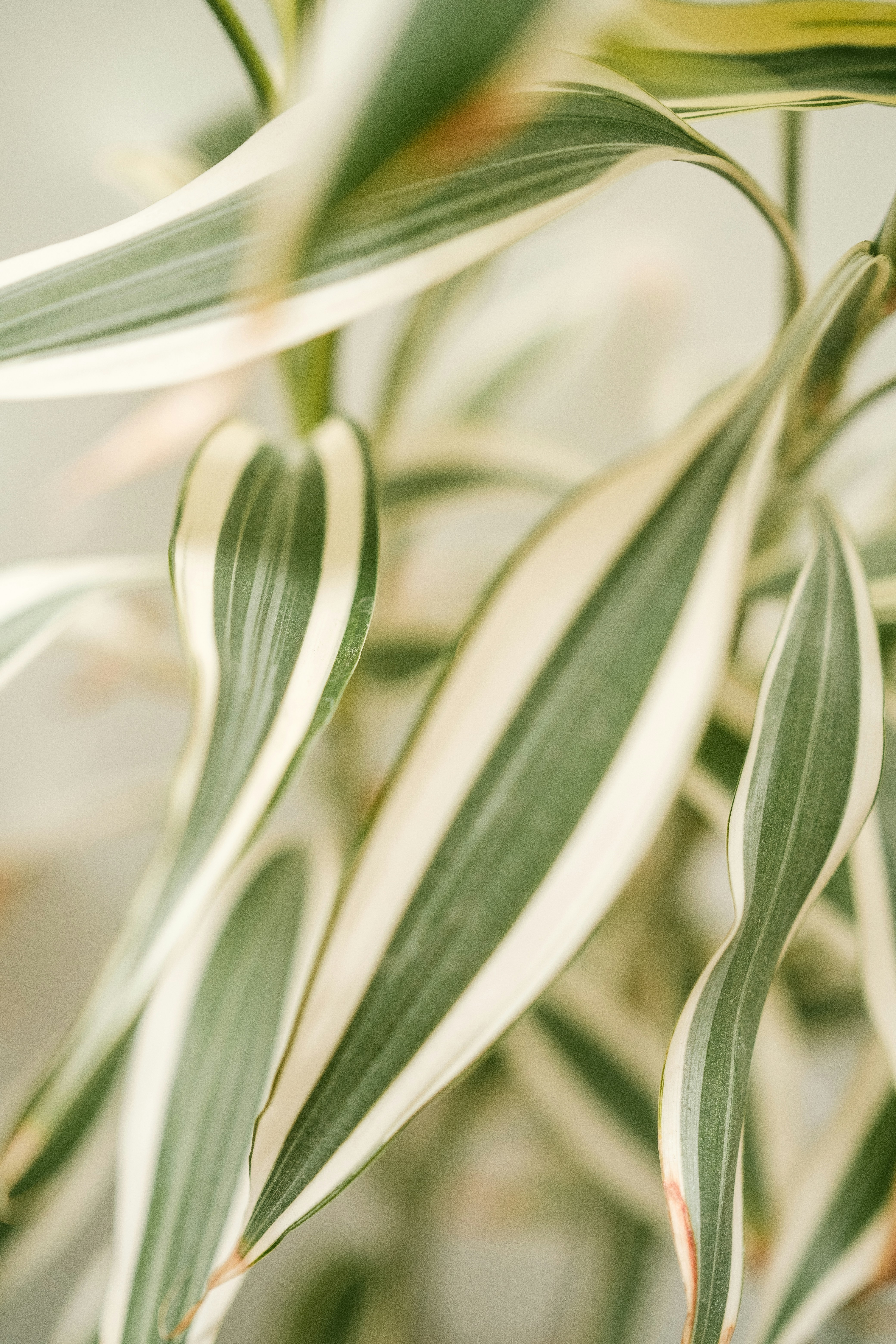 Photo by alex_quezada