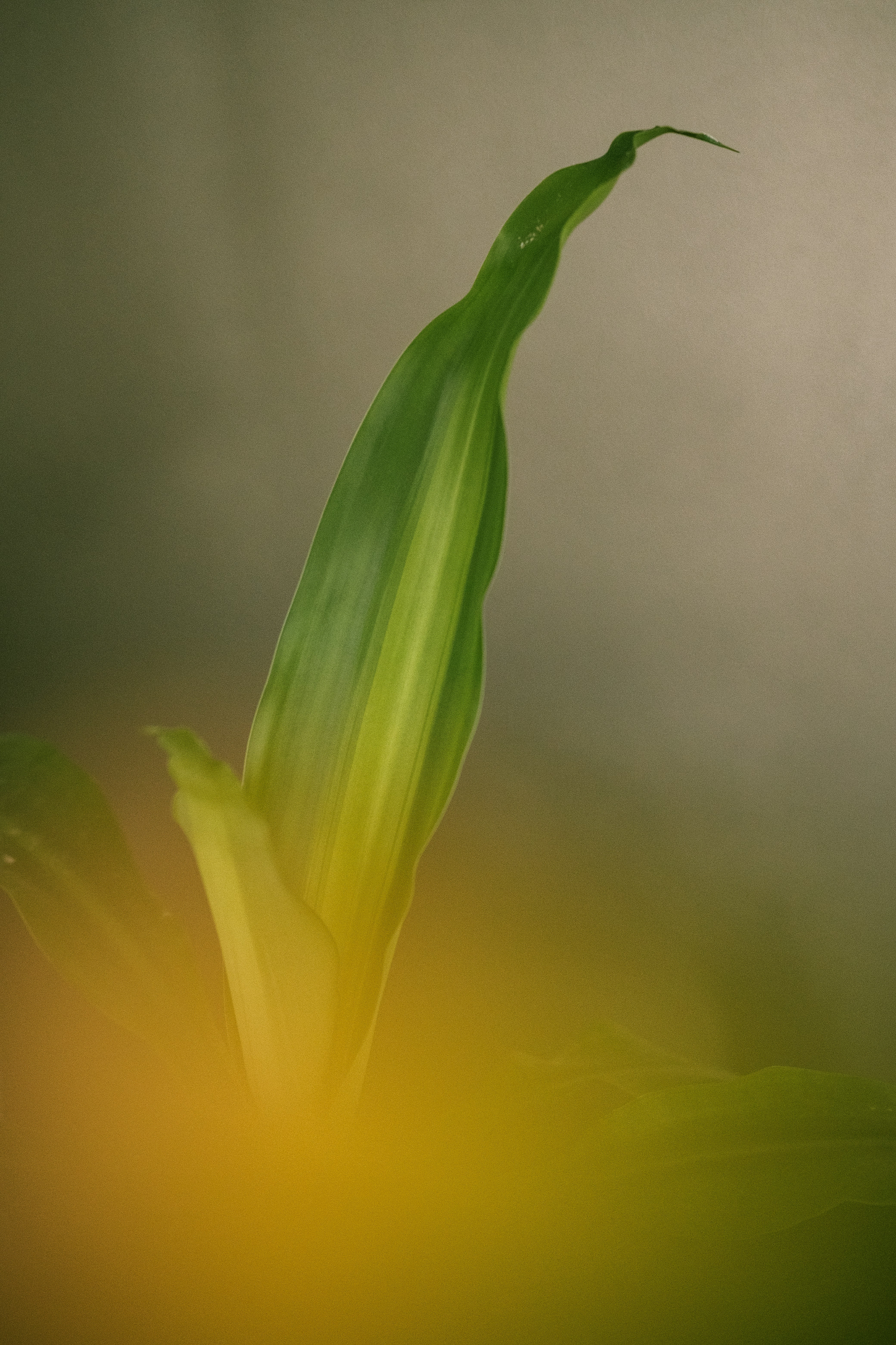 Photo by alex_quezada