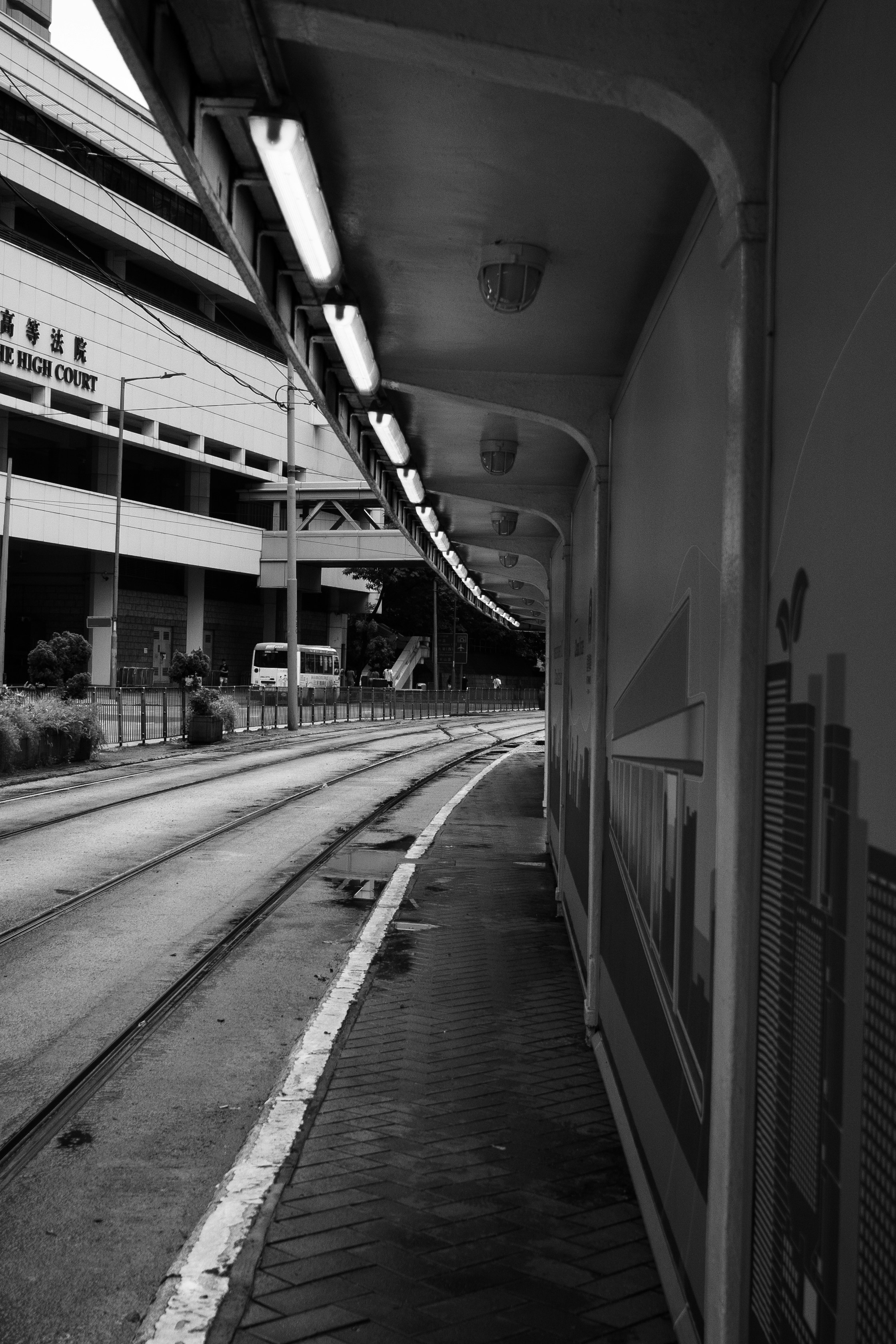 Photo by jeannerosegomez