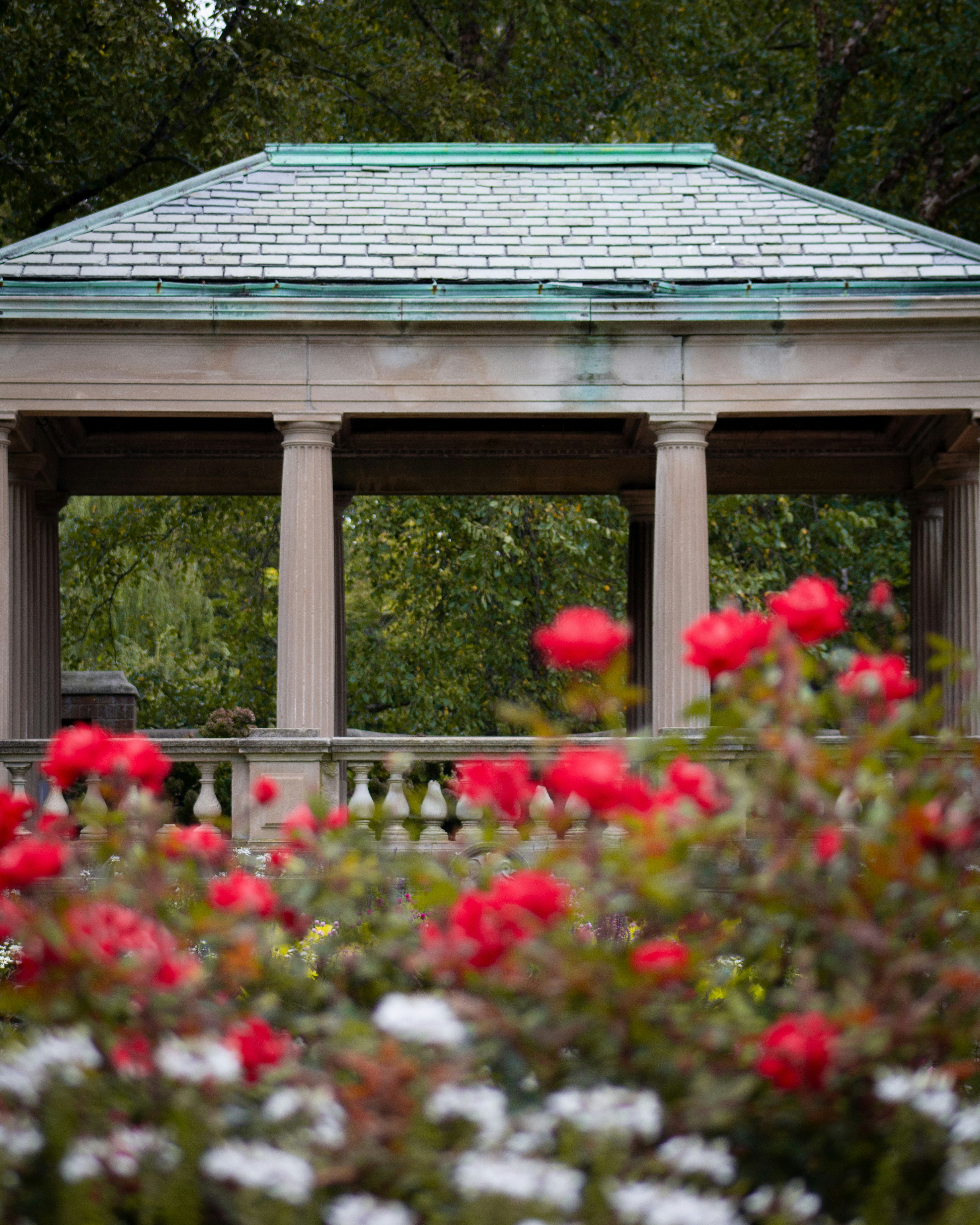 Photo by charlysey278