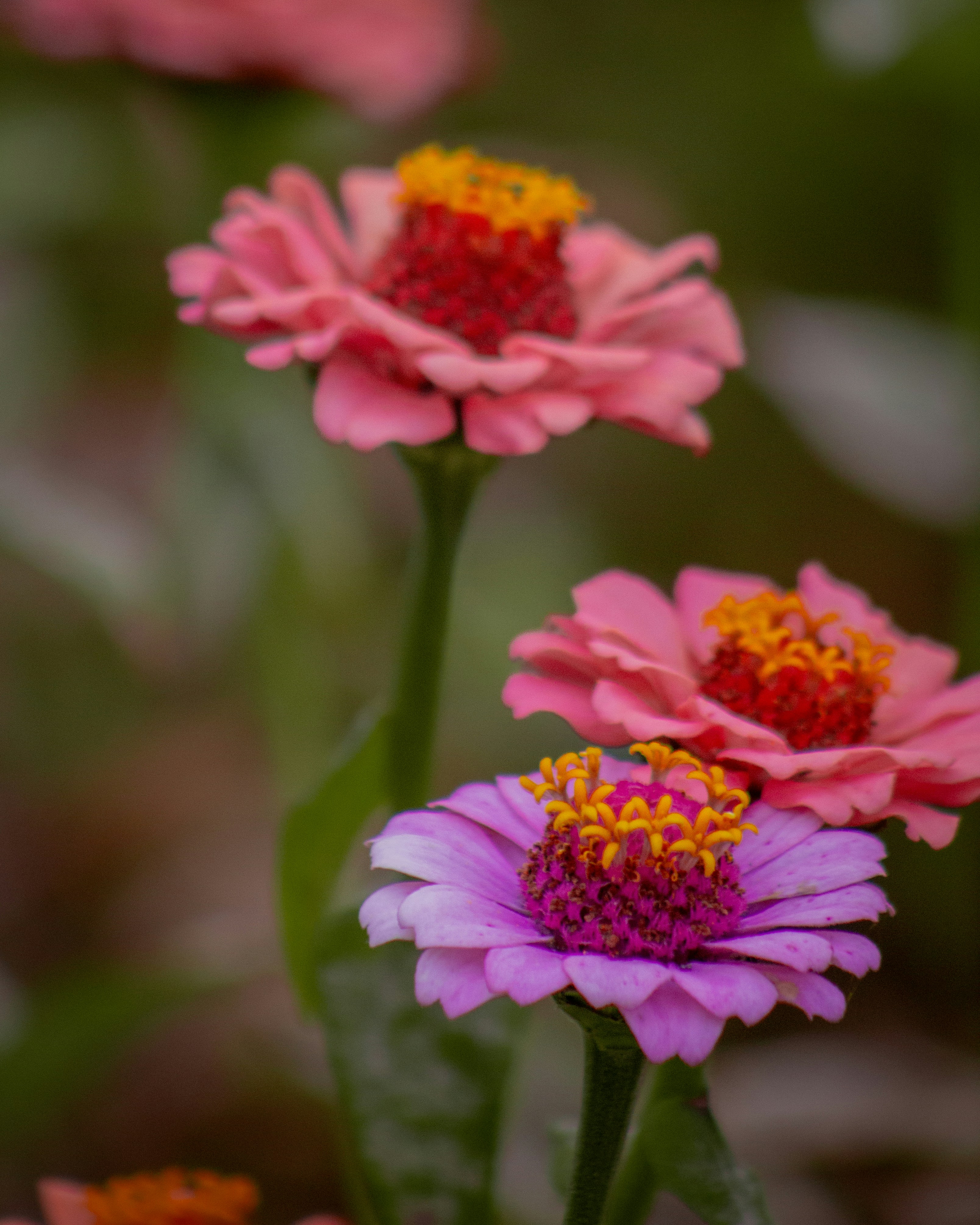 Photo by charlysey278