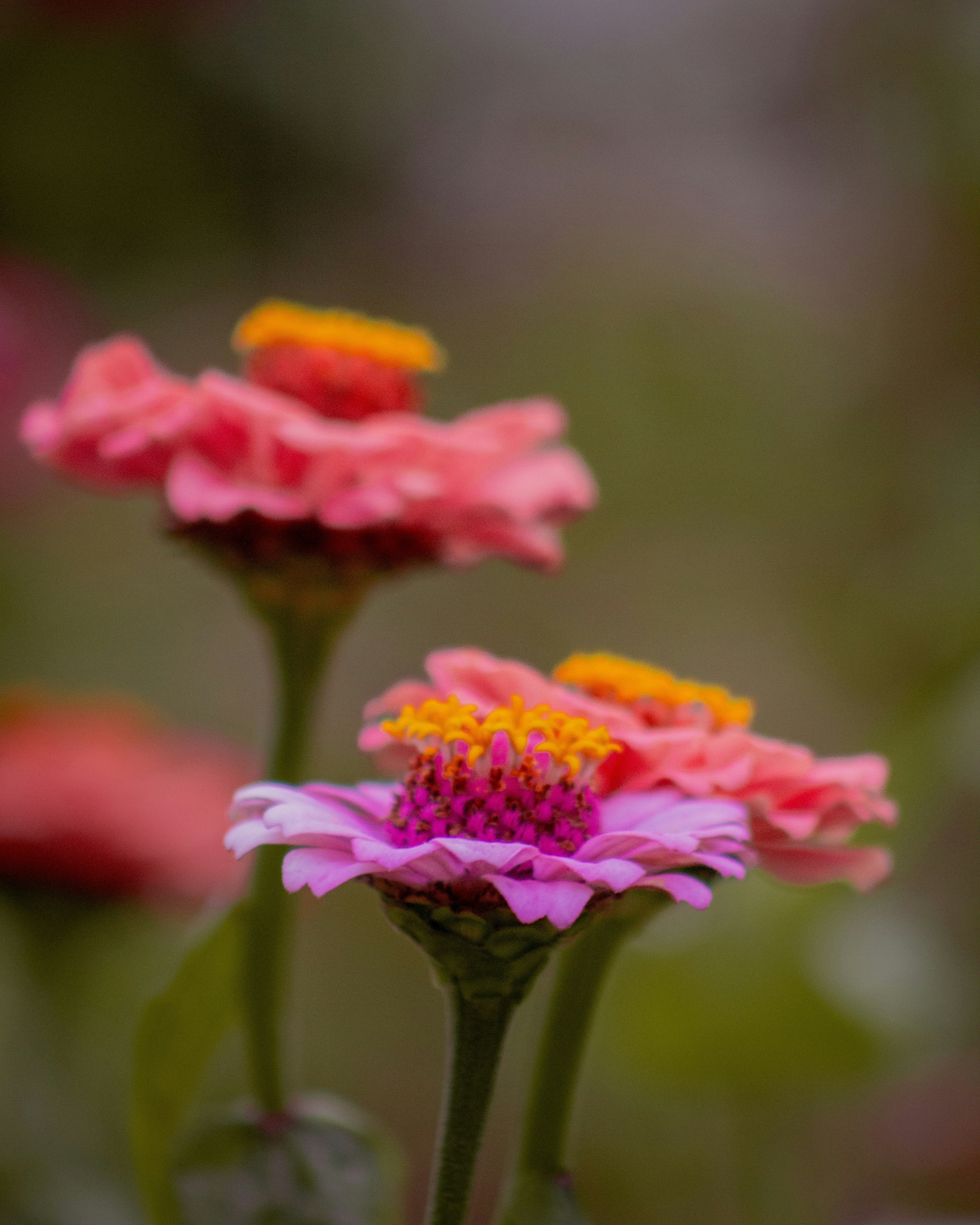 Photo by charlysey278