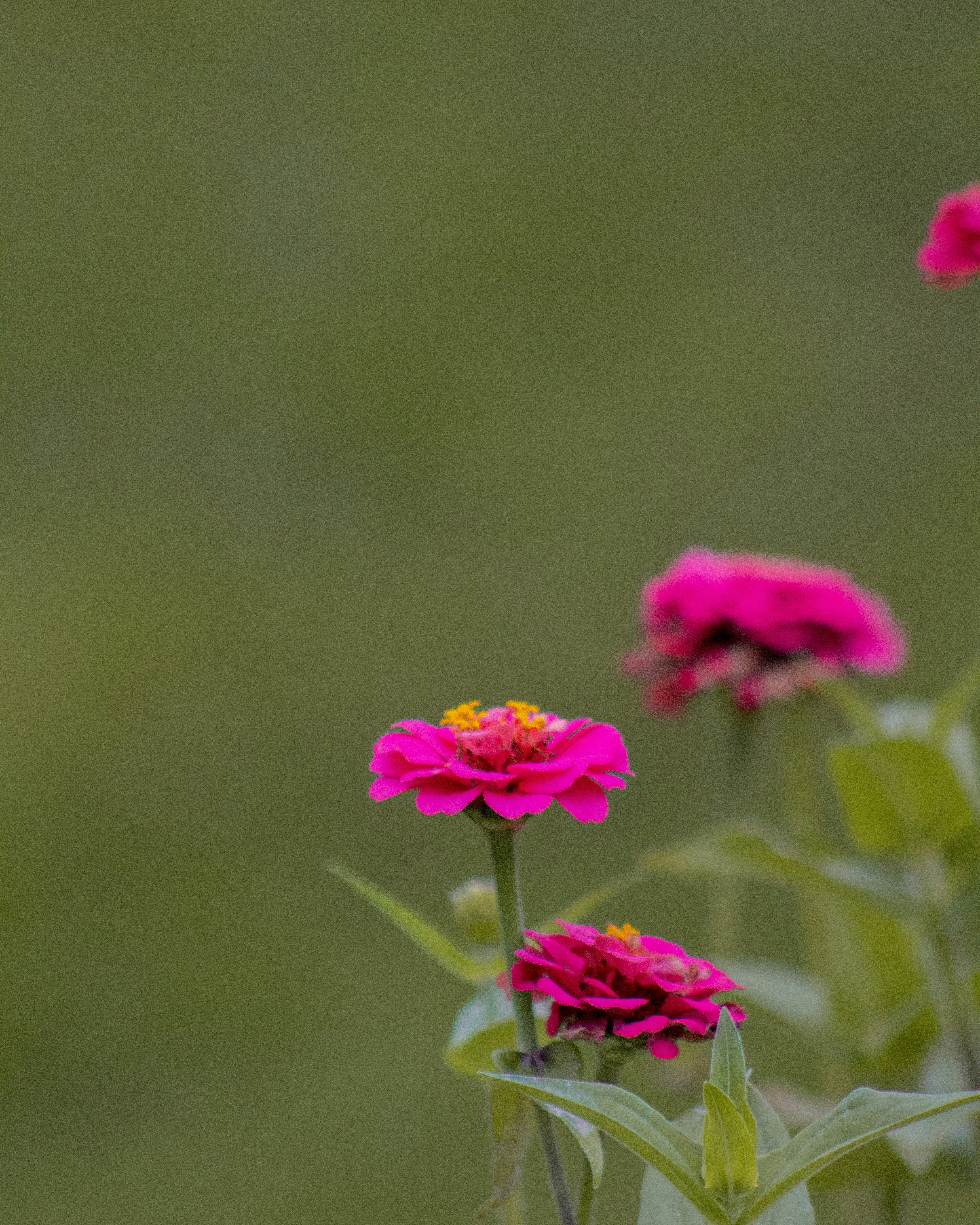 Photo by charlysey278