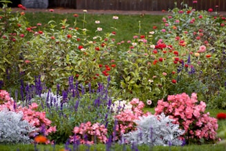 A garden filled with lots of colorful flowers