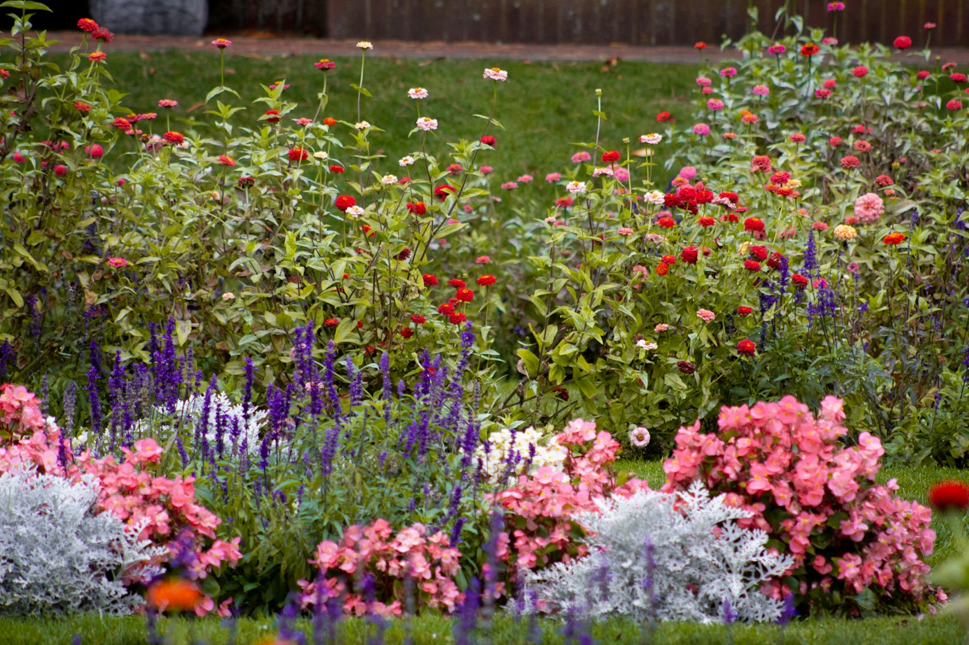 Layered garden border with colourful perennials