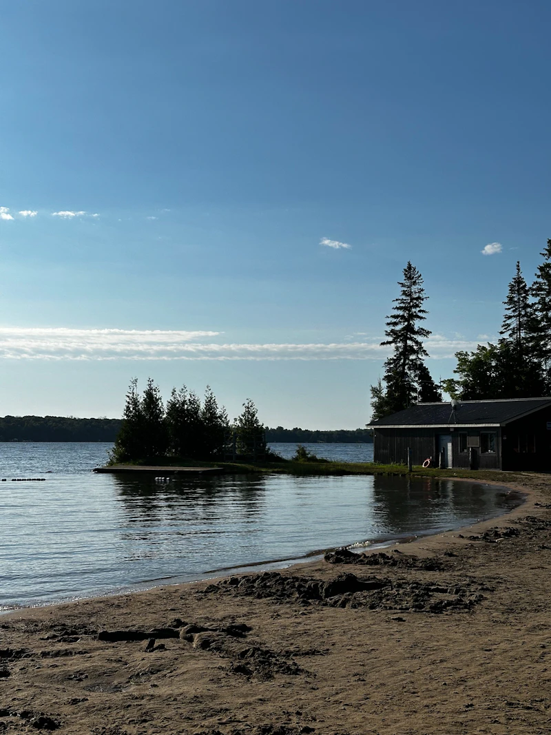 A small wooded island off a quiet lakeshore beach