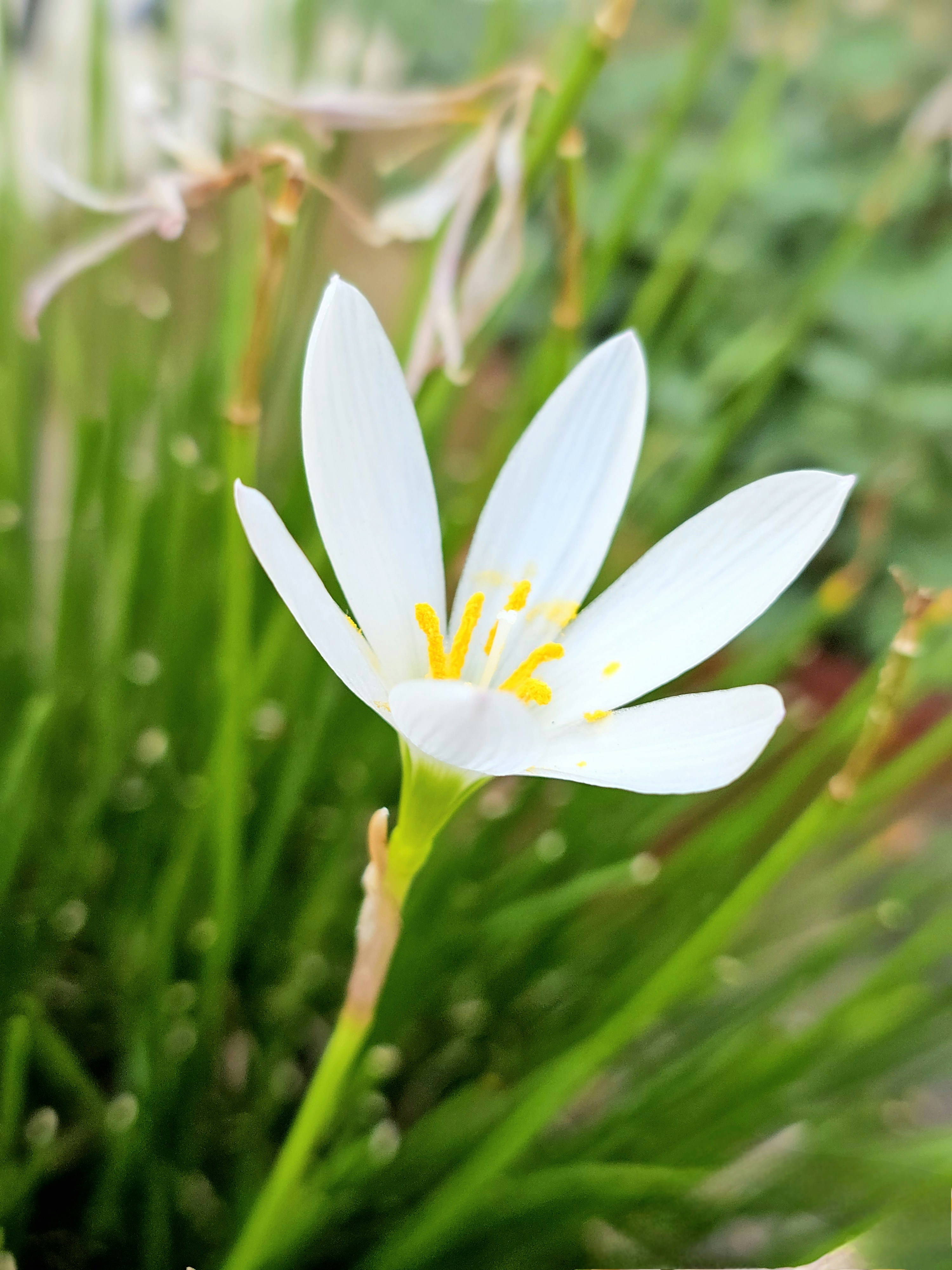 Photo by navdeepbhardwaj