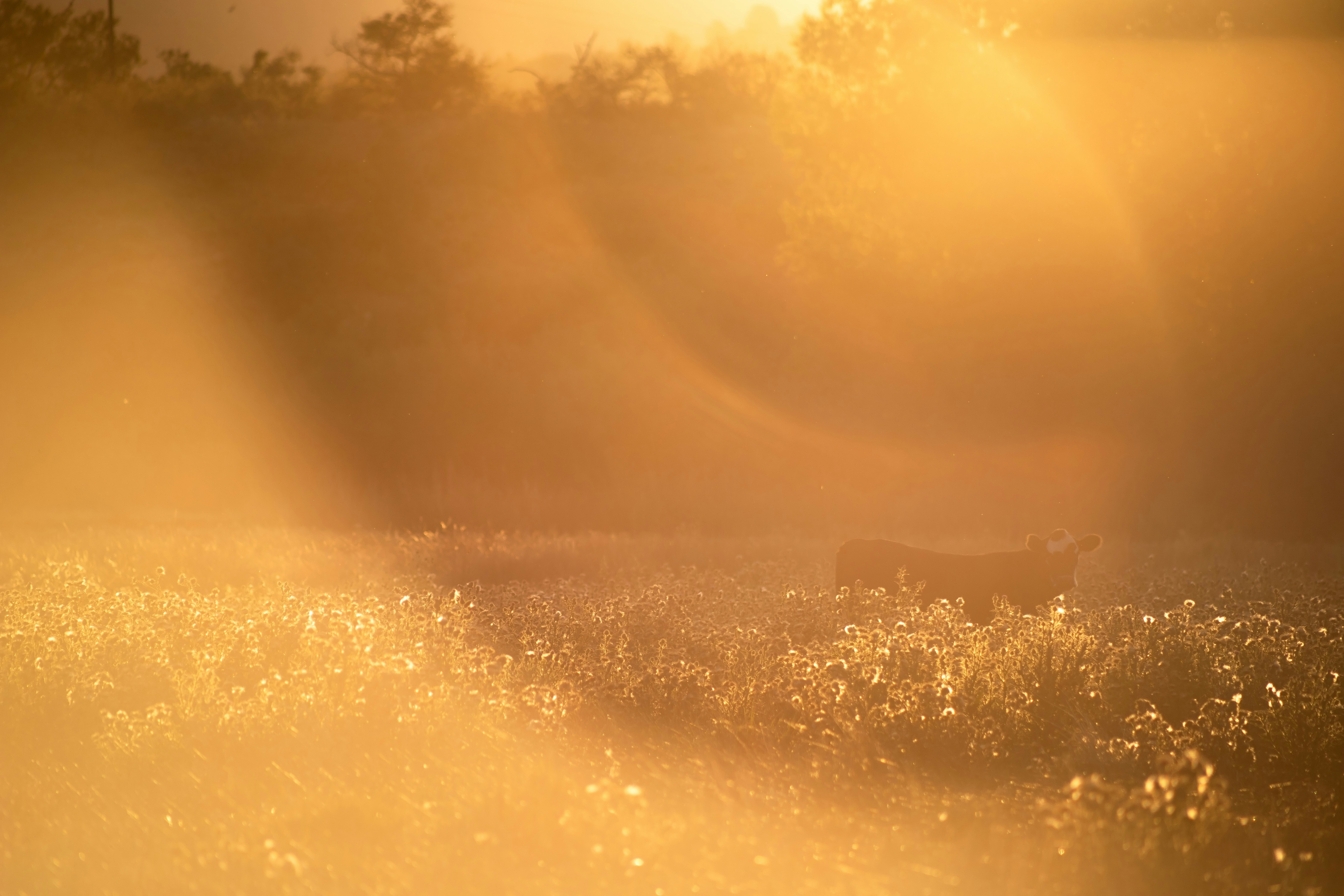 Photo by jordyn_nicolephotography