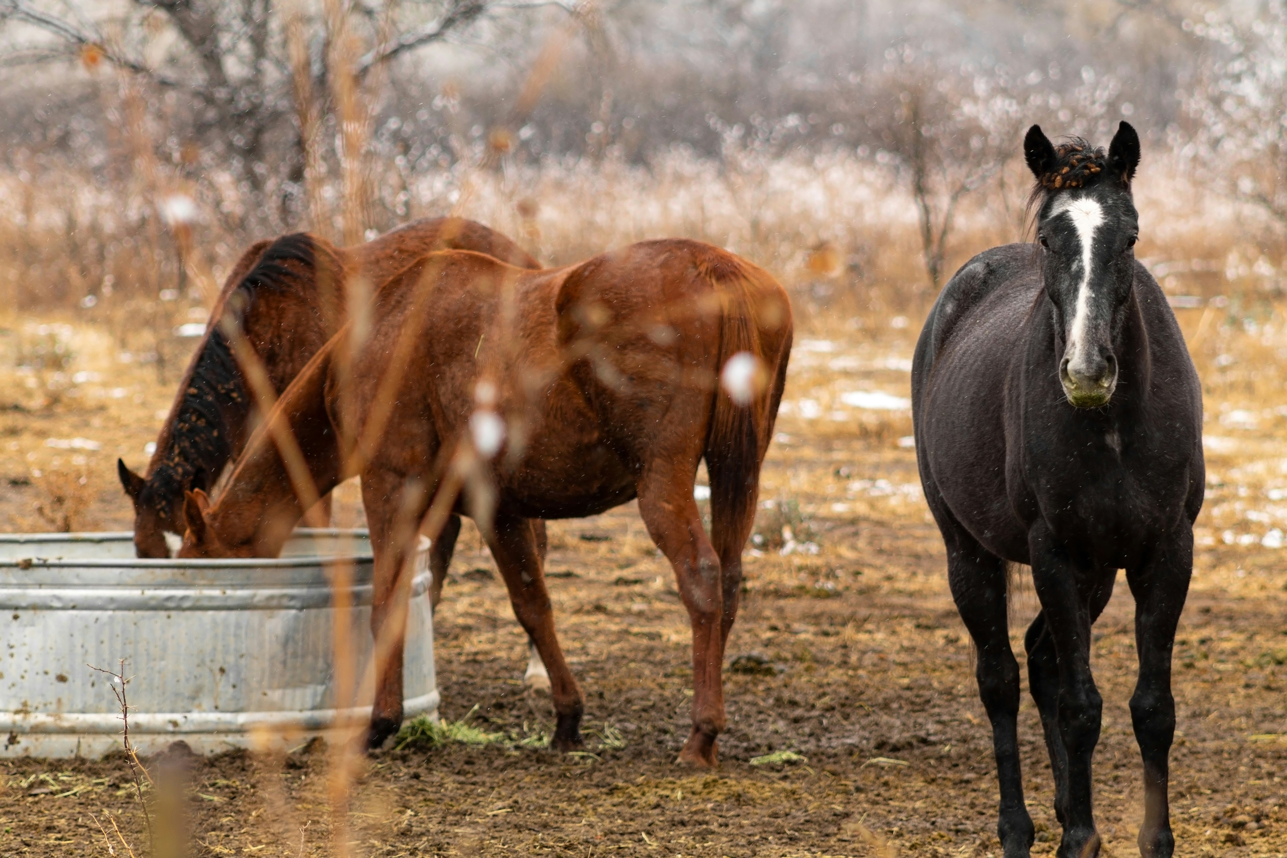 Photo by jordyn_nicolephotography