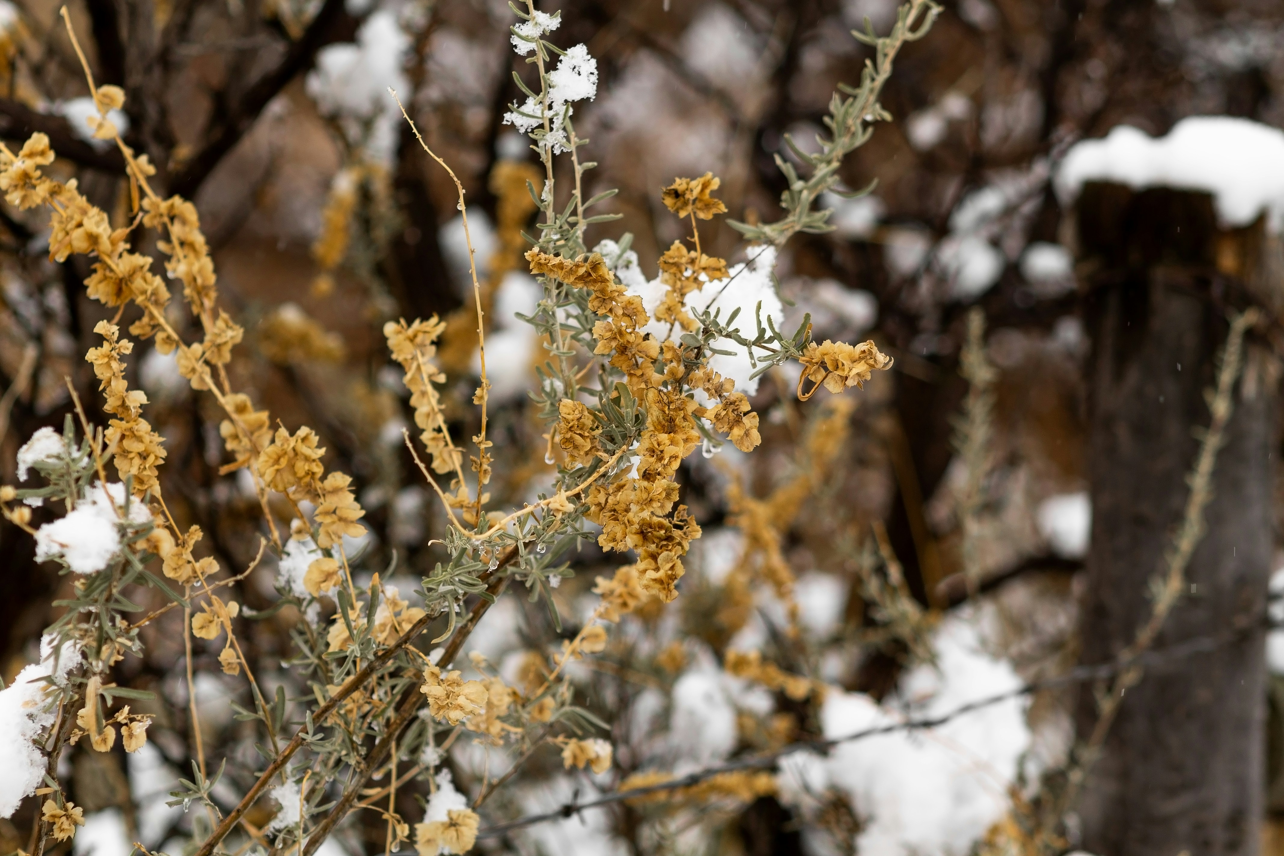 Photo by jordyn_nicolephotography