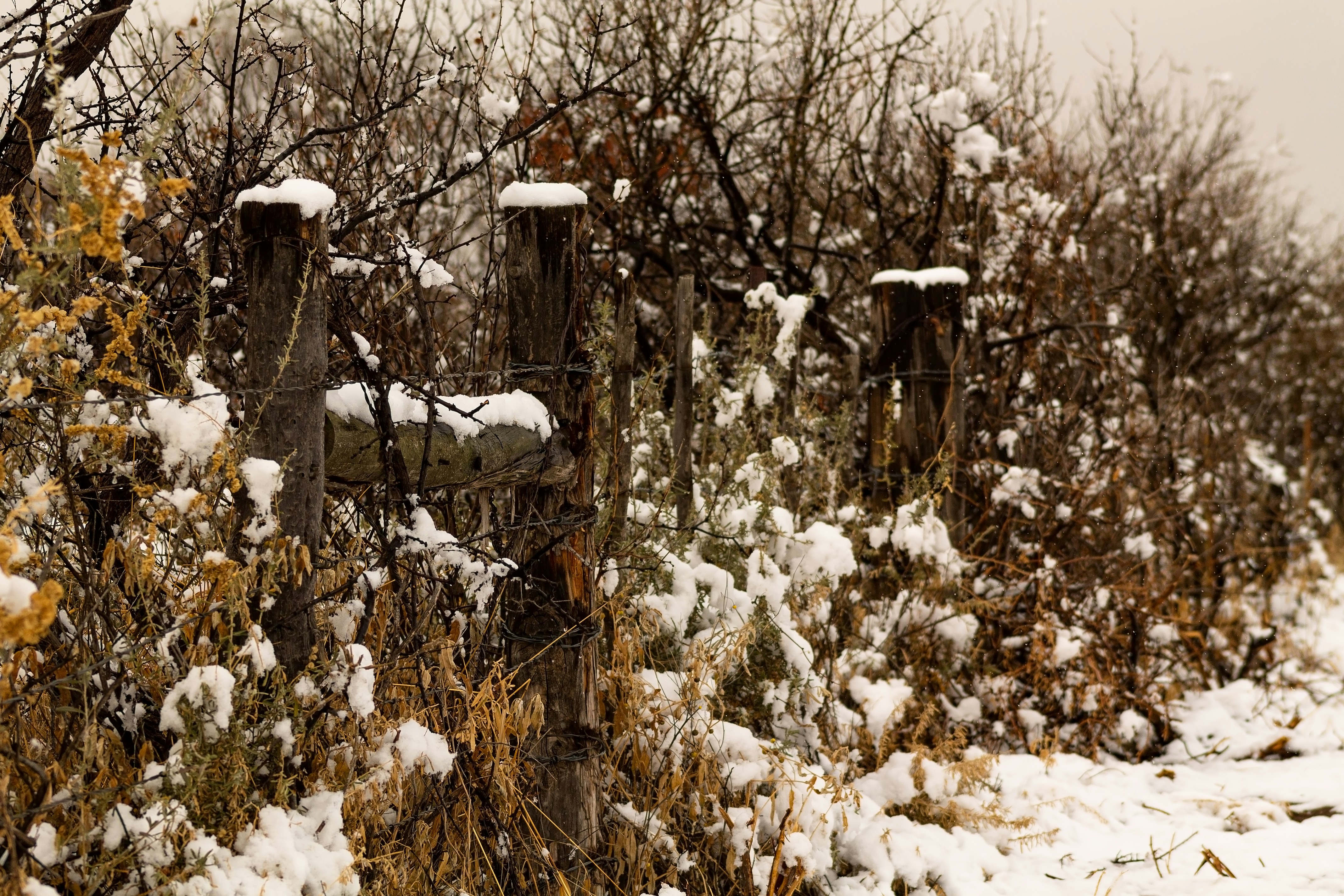 Photo by jordyn_nicolephotography