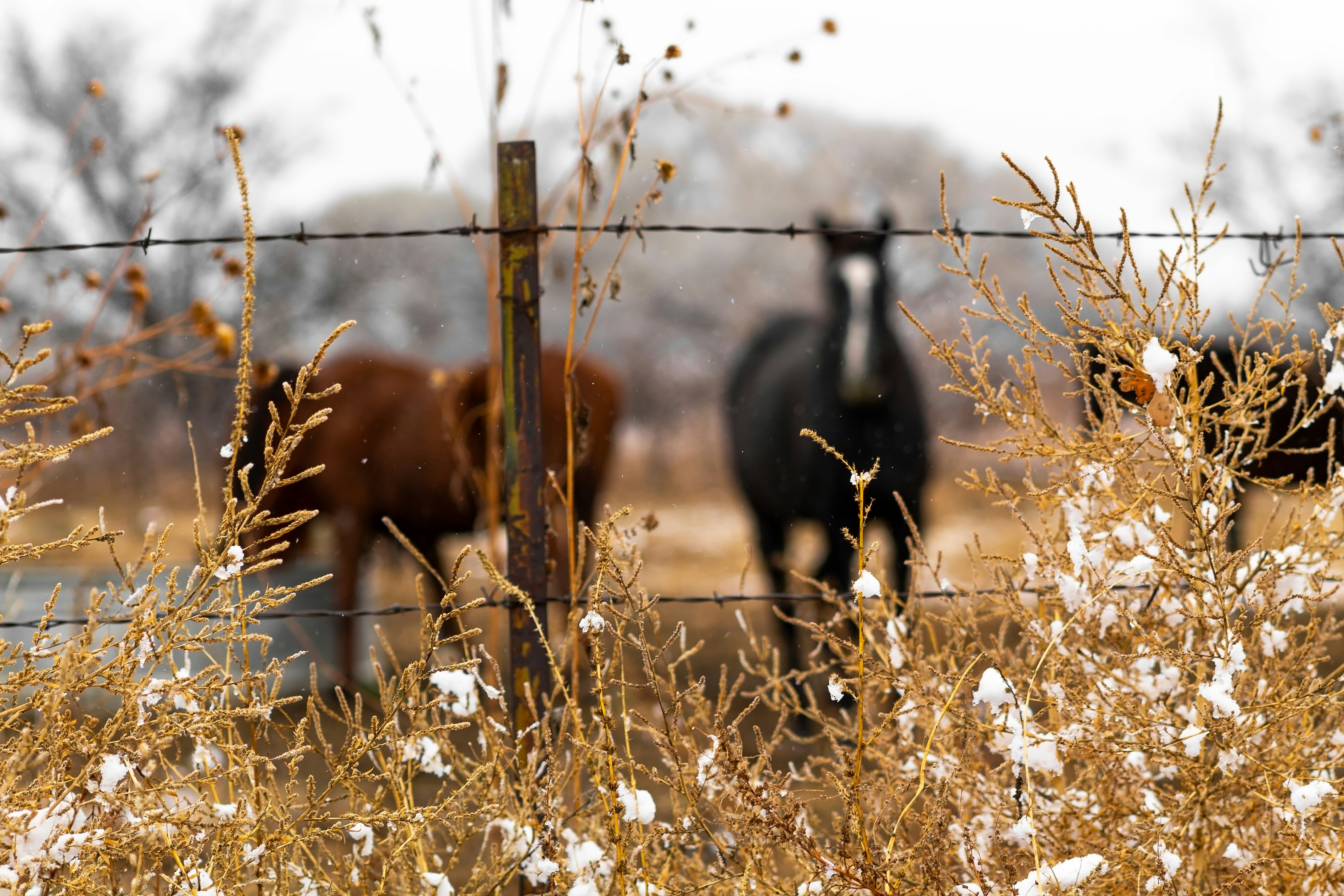 Photo by jordyn_nicolephotography