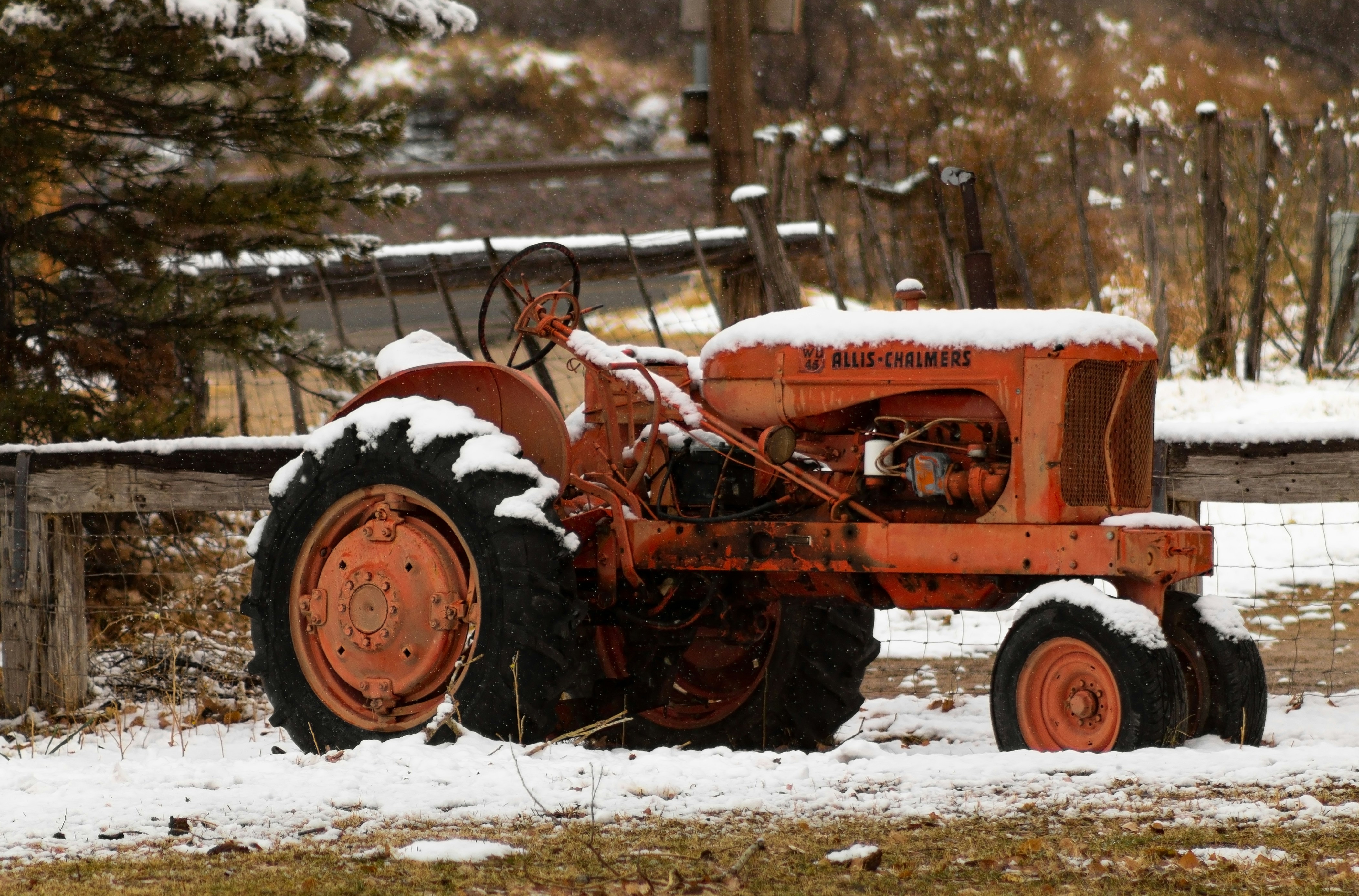 Photo by jordyn_nicolephotography